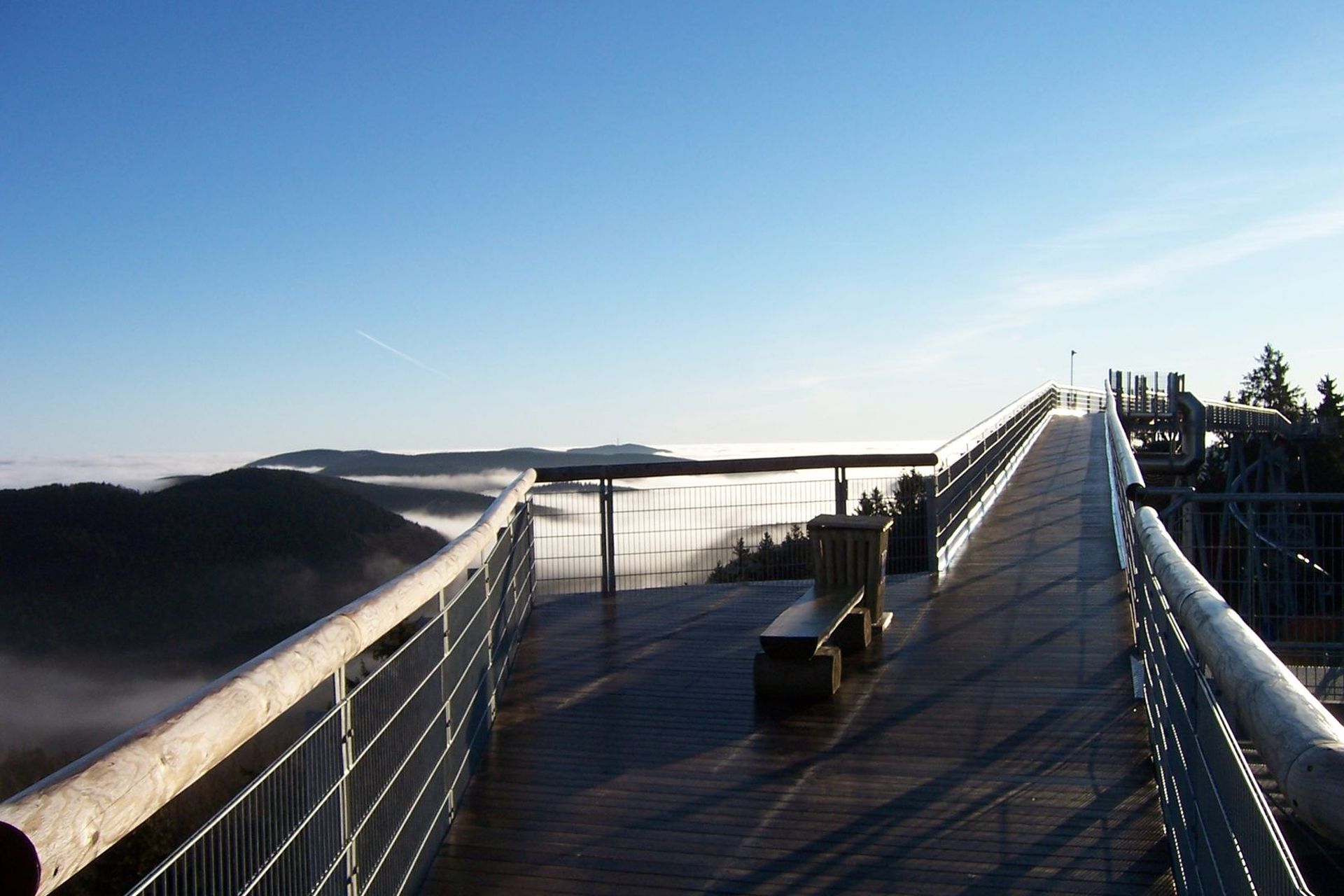Erlebnisberg Kappe_2017_Panorama Erlebnis Brücke in Winterberg am Erlebnisberg Kappe.JPG