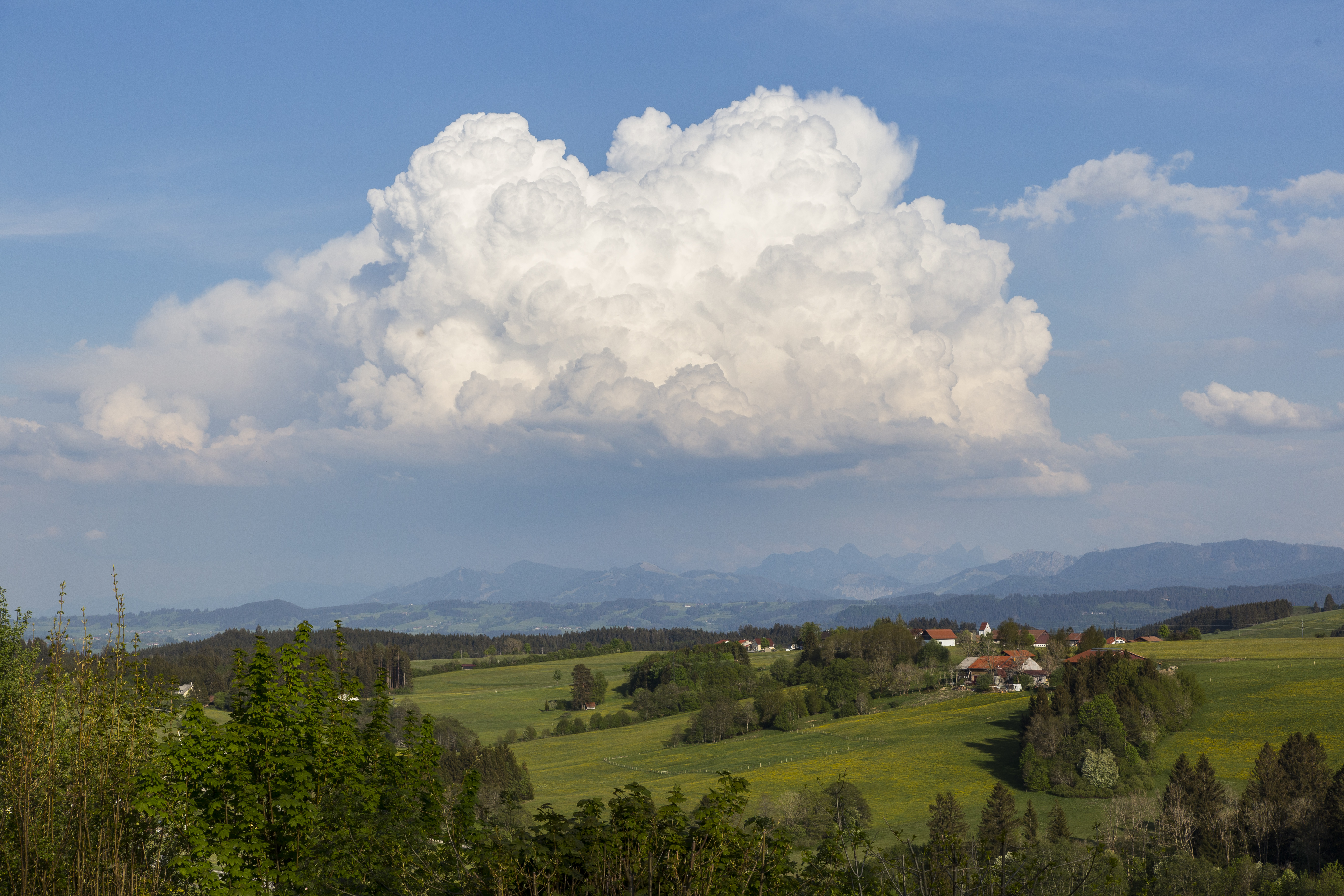 Hellengerst Hellengerst