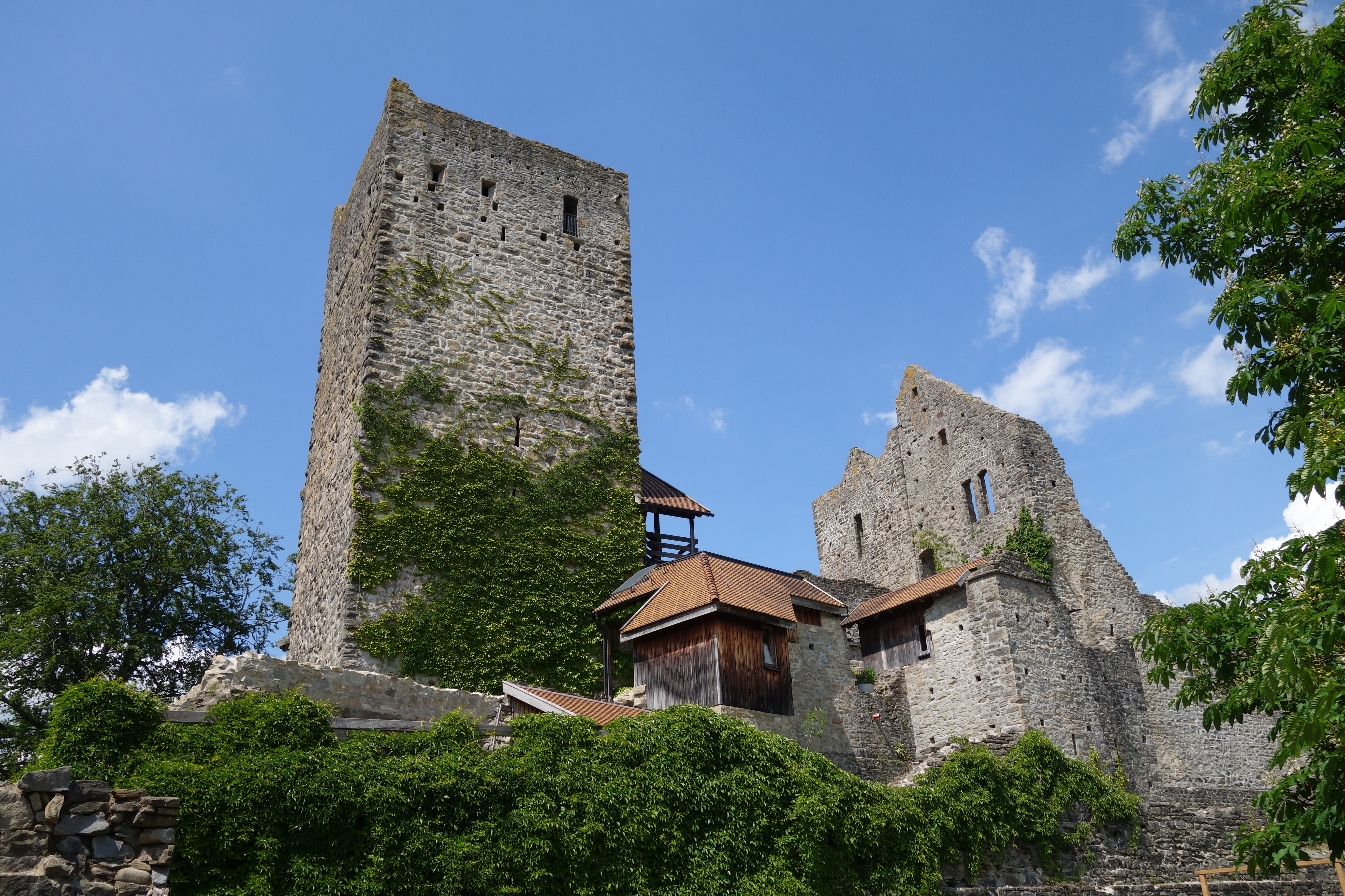 Burgruine Sulzberg Burgruine Sulzberg