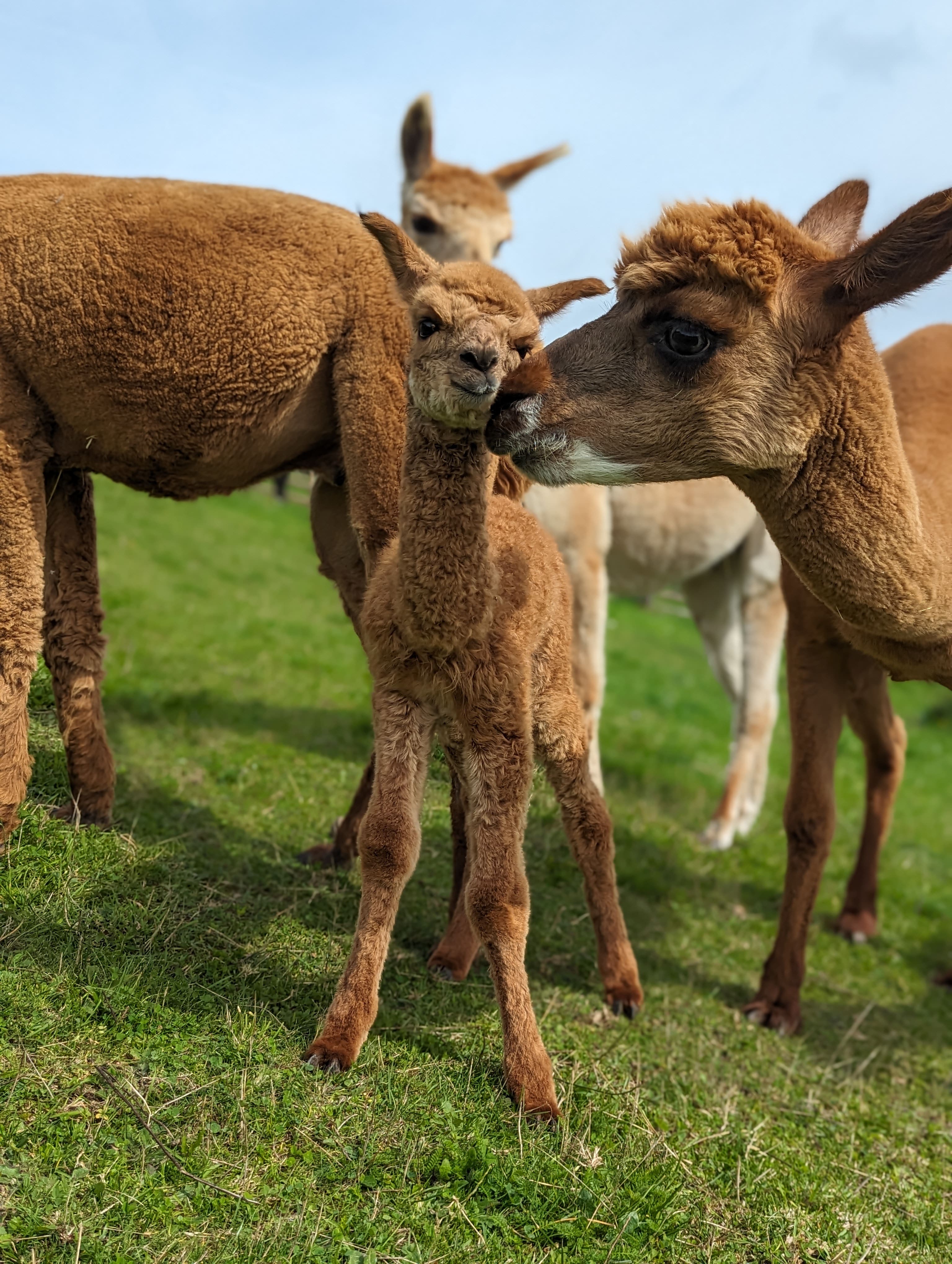 Schnuppernachmittag Schnuppernachmittag