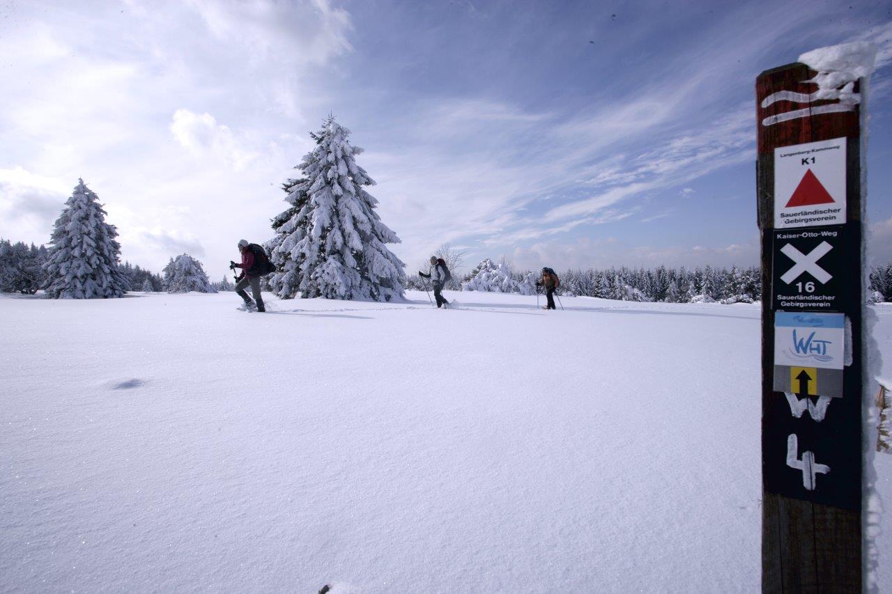 Schneeschuhwandern Schneeschuhwandern