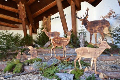 Walser Tierwelt in Heu und Holz