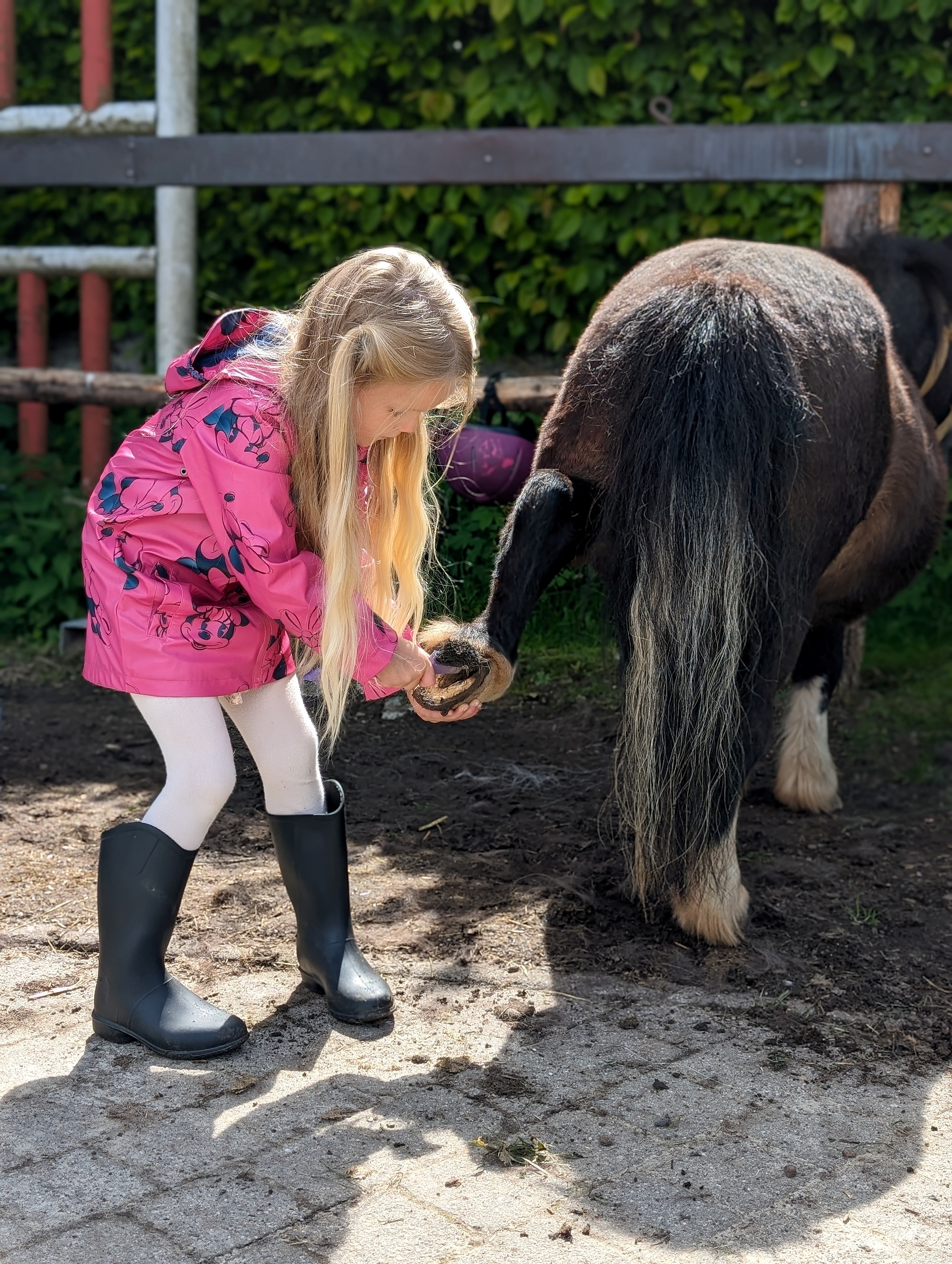 Ponyverleih.jpg Ponyverleih.jpg