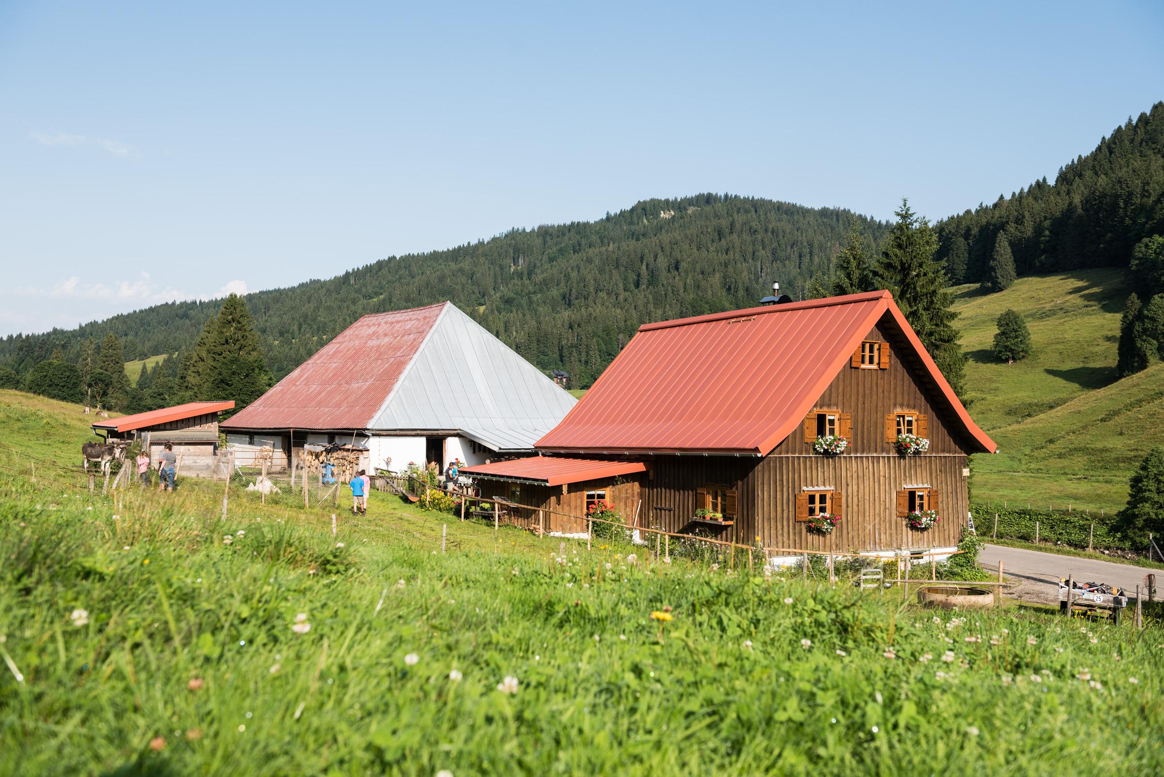 Alpe Schattwald