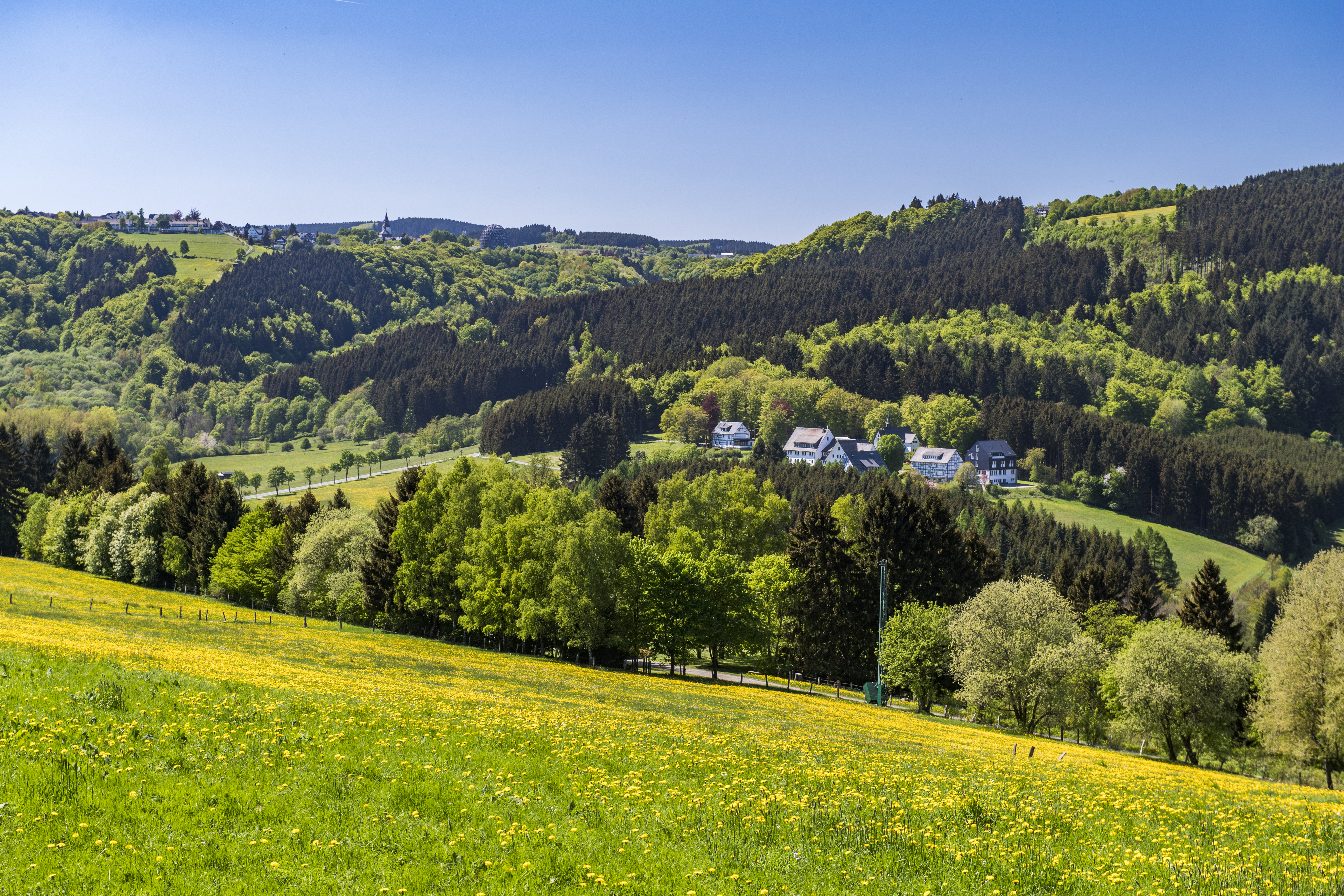 FerienweltWinterberg_2018_Elkeringhausen_Ortsansicht_Landschaft_Felder-Blumenwiese_Sommer_Klaus-Peter Kappest (4).jpg