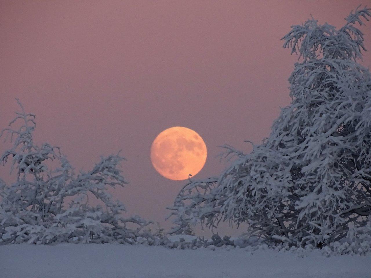 Schneeschuhwandern im Mondschein Schneeschuhwandern im Mondschein