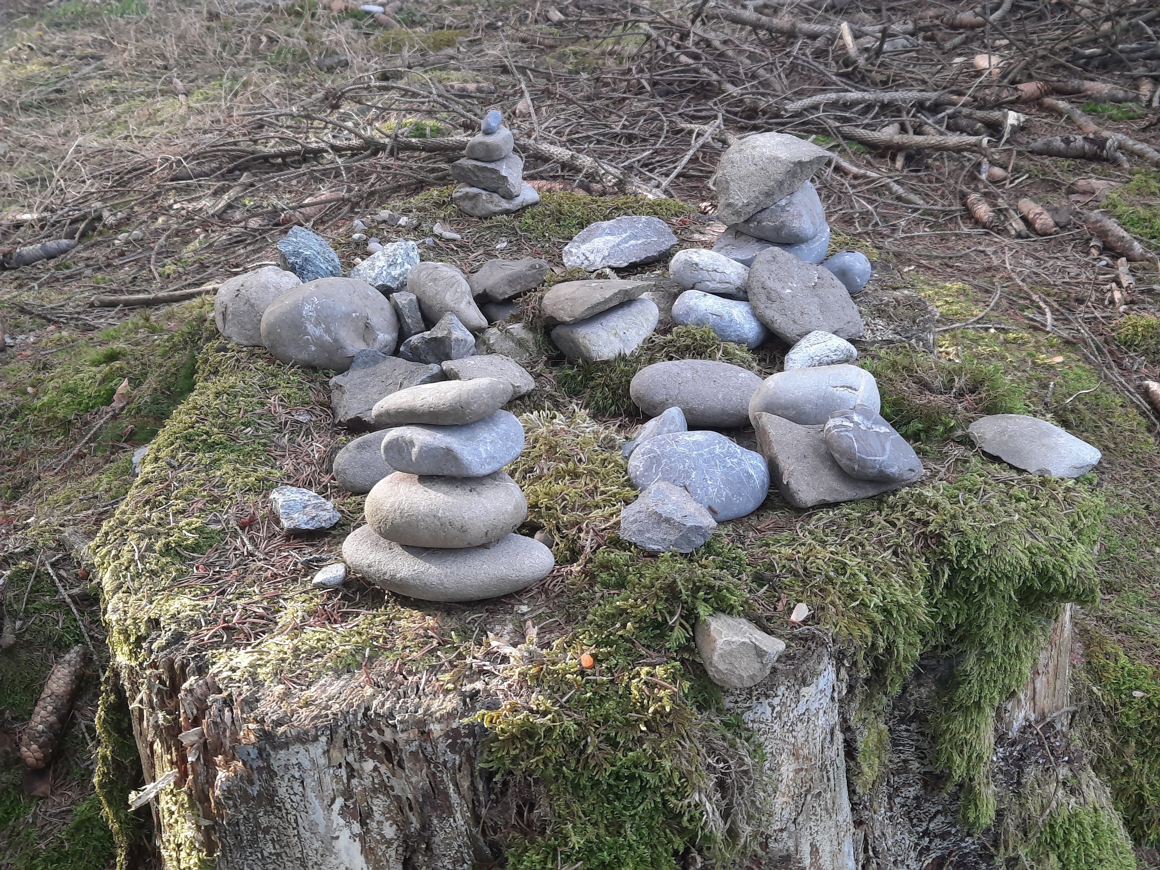 Steinesammlung Steinesammlung