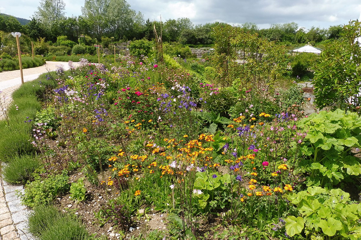 Garten E Primavera.png Garten E Primavera.png