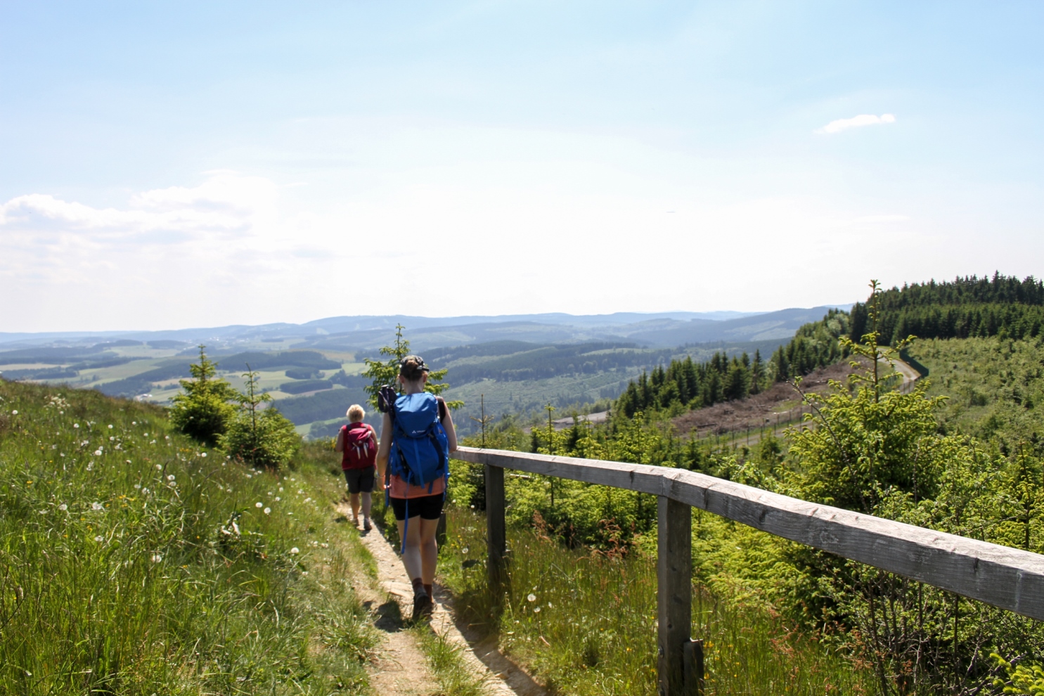 Ferienwelt Winterberg (BoW)_2015_Niedersfeld Hochheide Der goldenen Pfad_Wandern Aussicht Landschaft_Sommer_klein.jpg Ferienwelt Winterberg (BoW)_2015_Niedersfeld Hochheide Der goldenen Pfad_Wandern Aussicht Landschaft_Sommer_klein.jpg