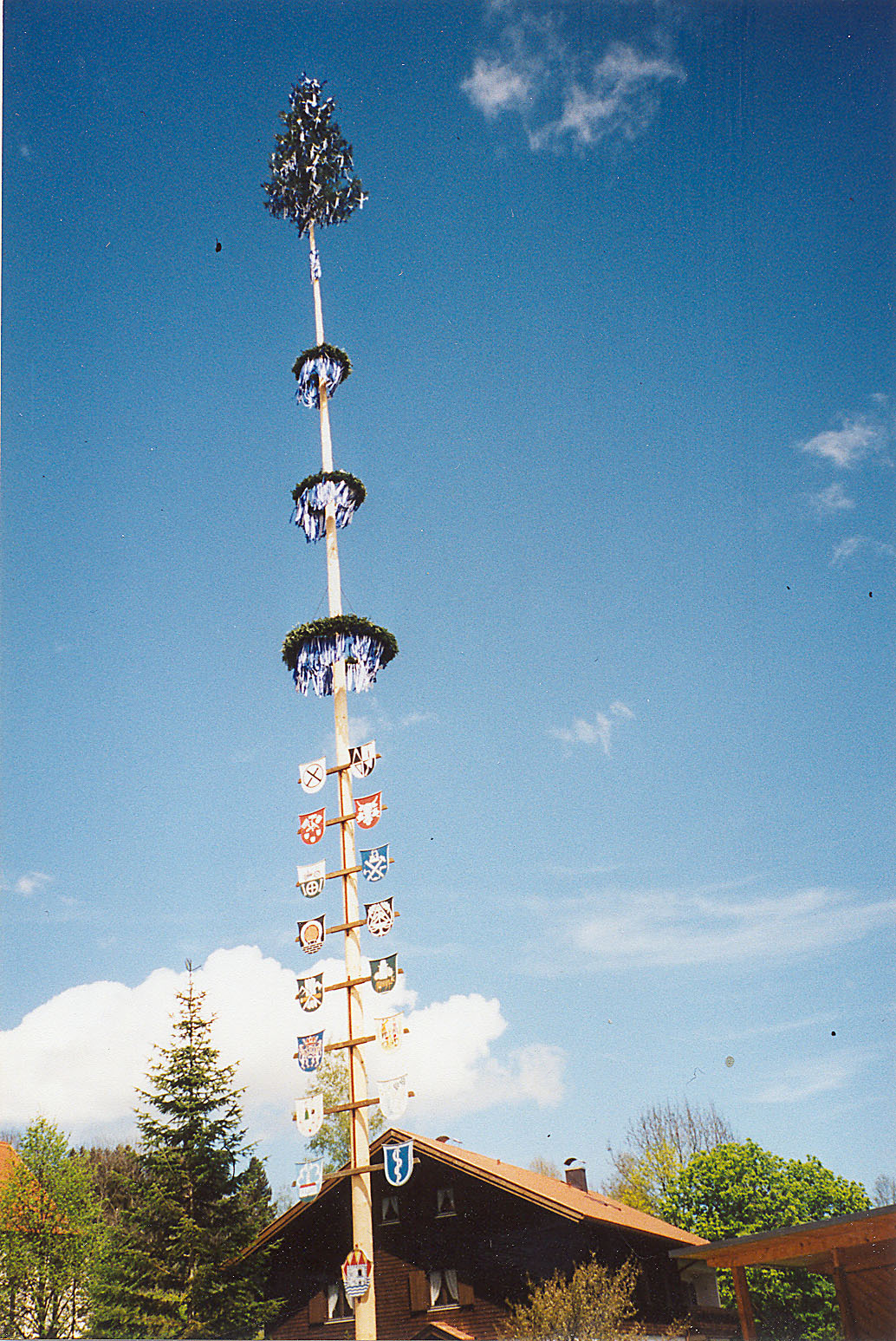 01.jpg 01.jpg