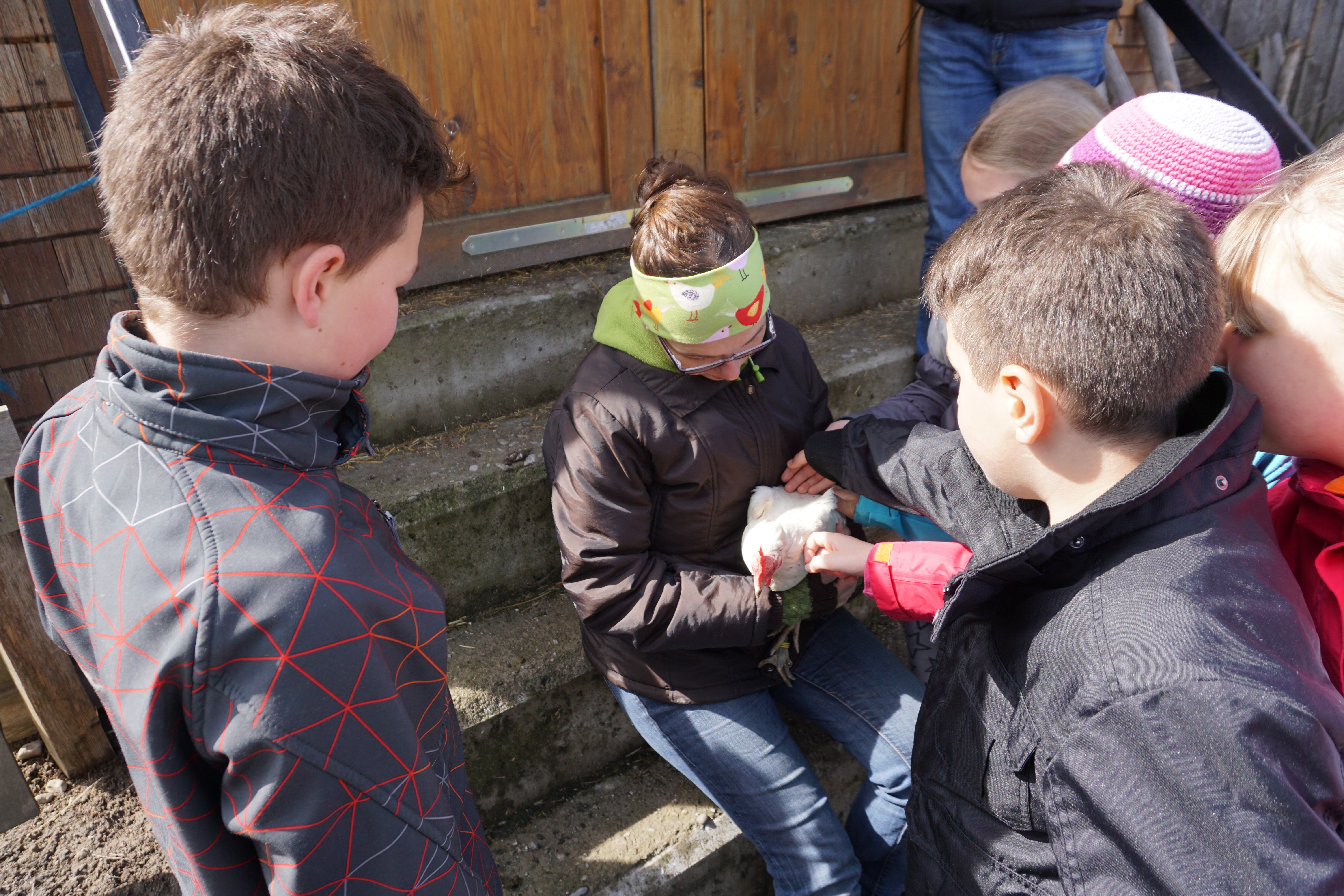 Kinder Archehof Führung Kinder Archehof Führung