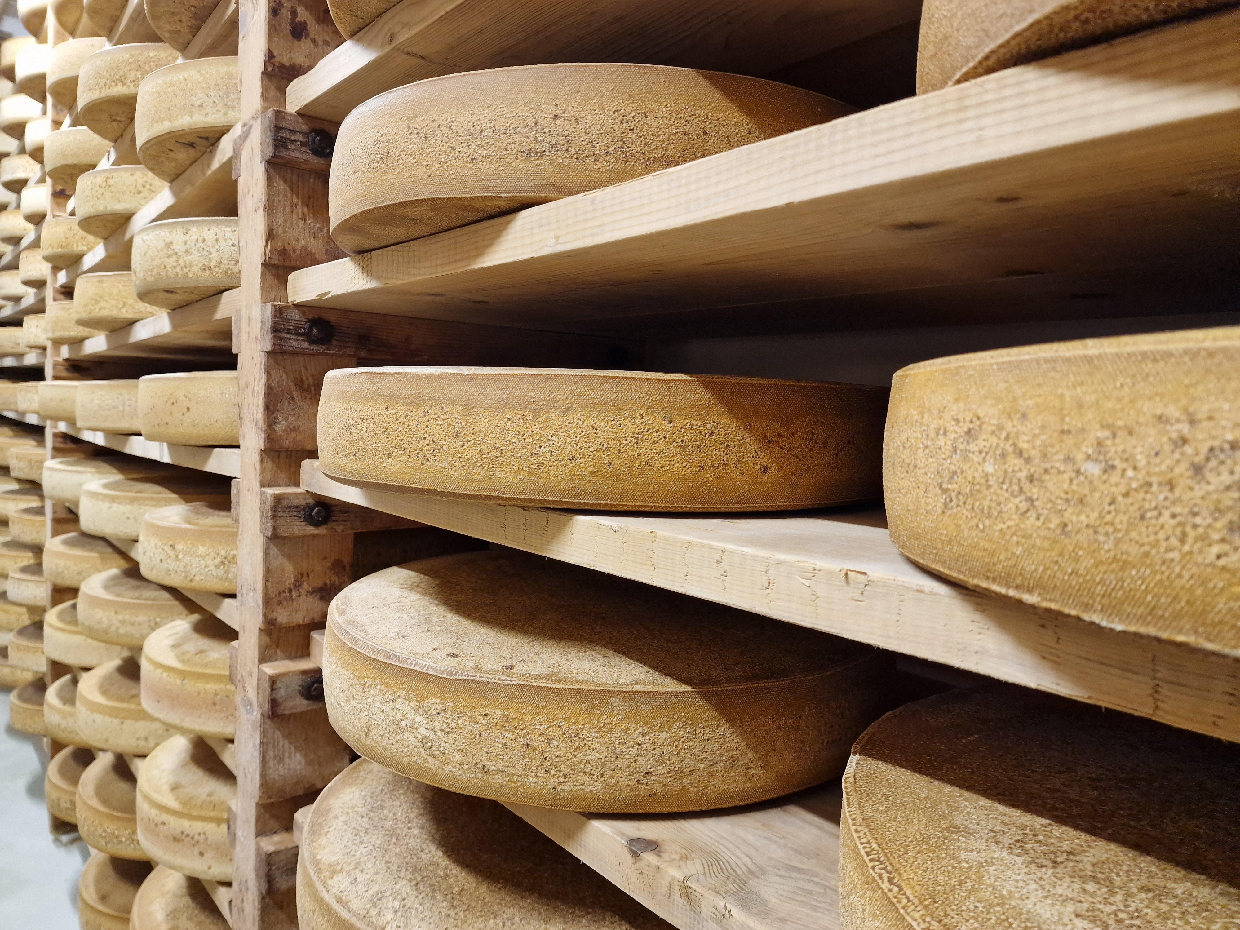 Käsekeller Sennerei Gunzesried