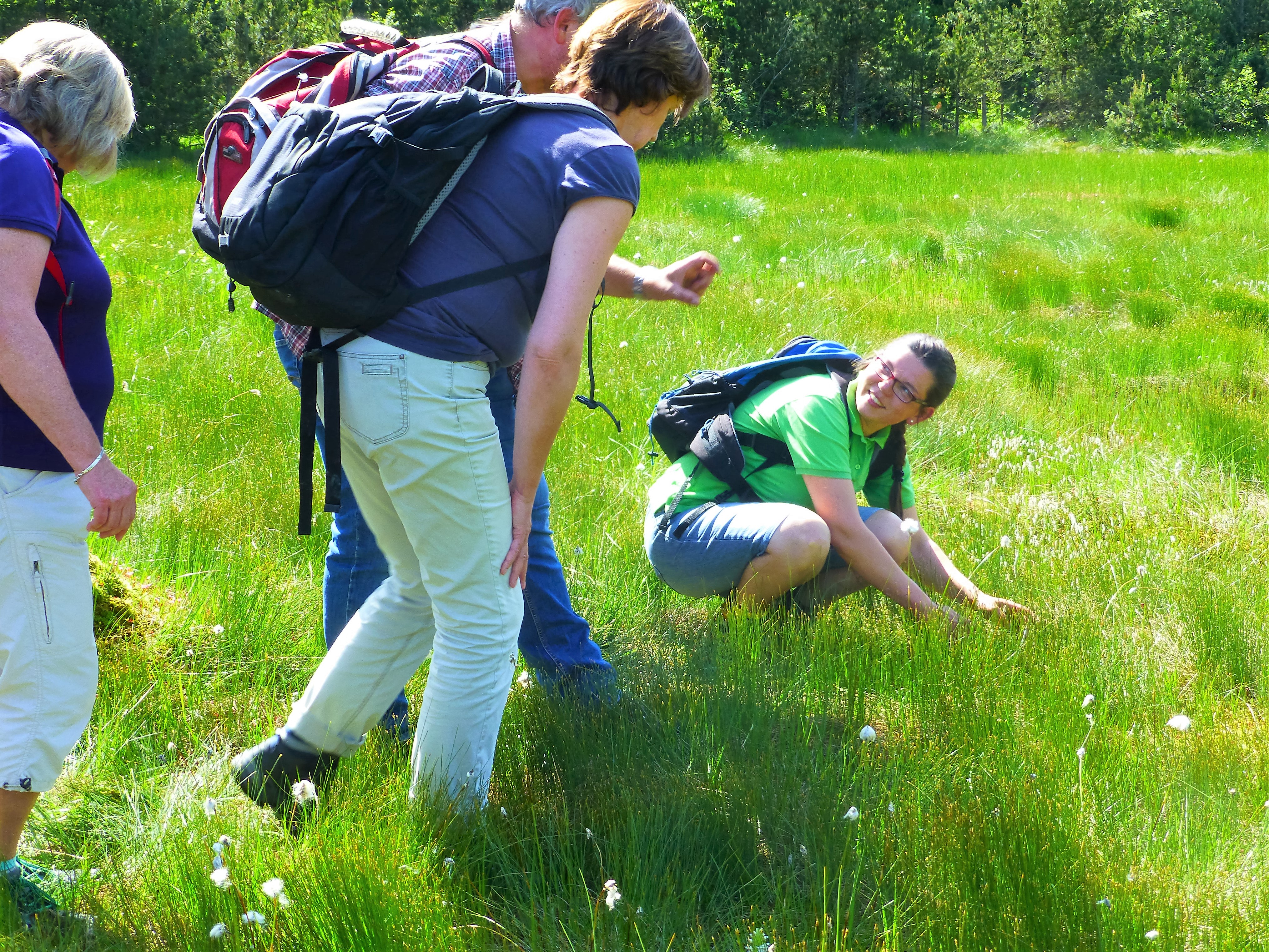 Moorführung Breitenmoos