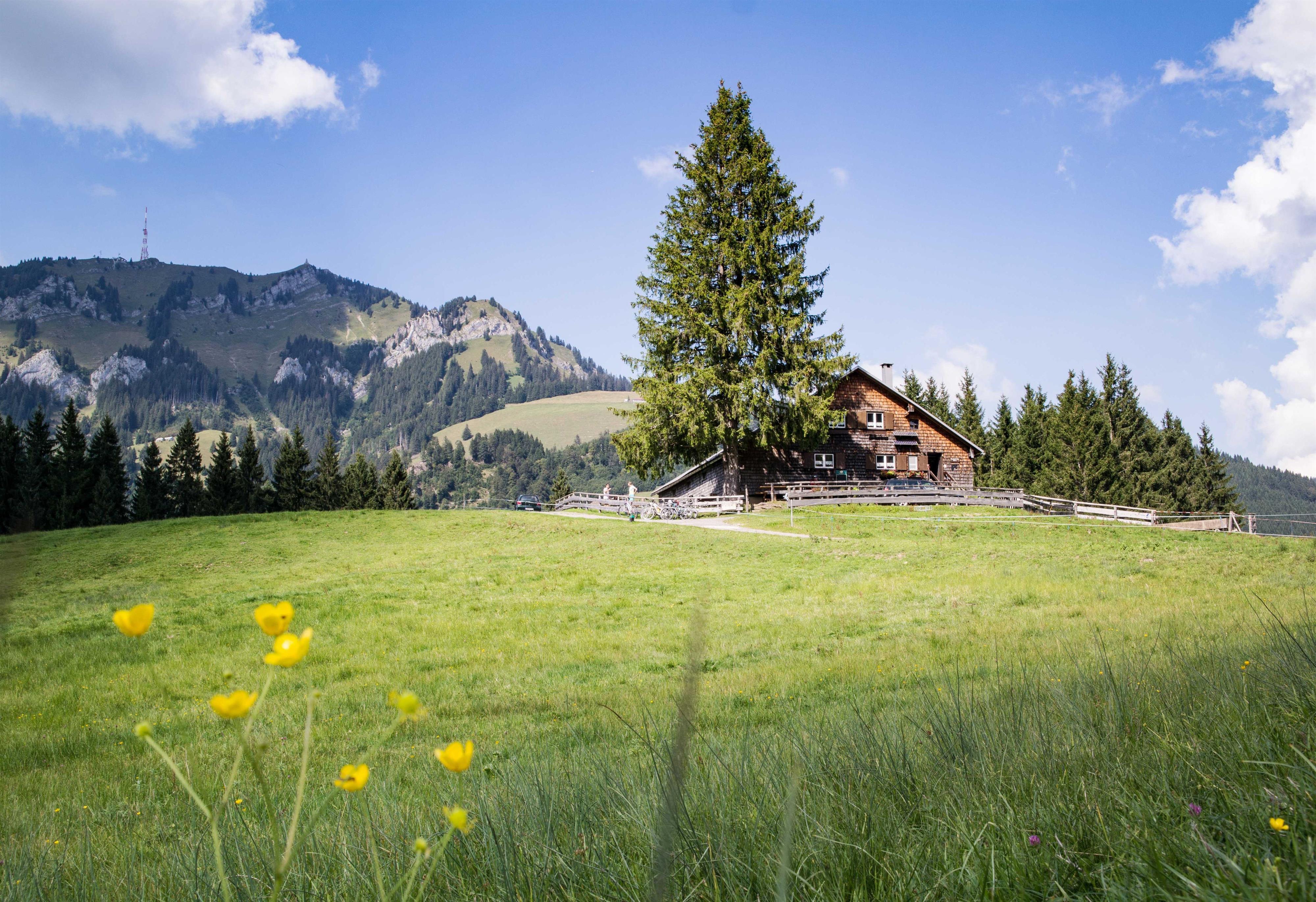 Alpe Alpe