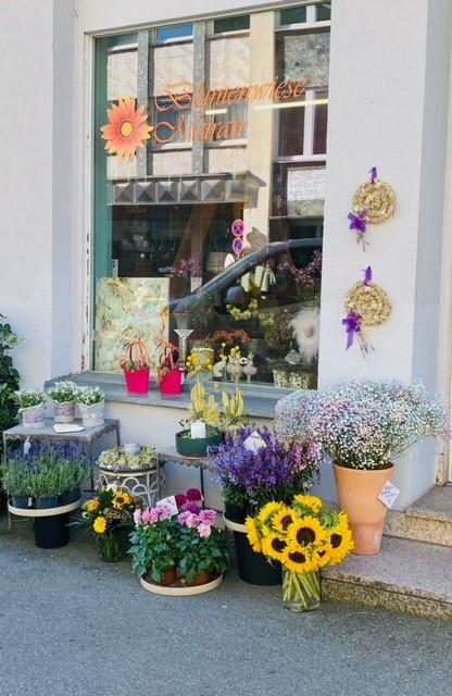 Blumenwiese Meiran Eingang neu