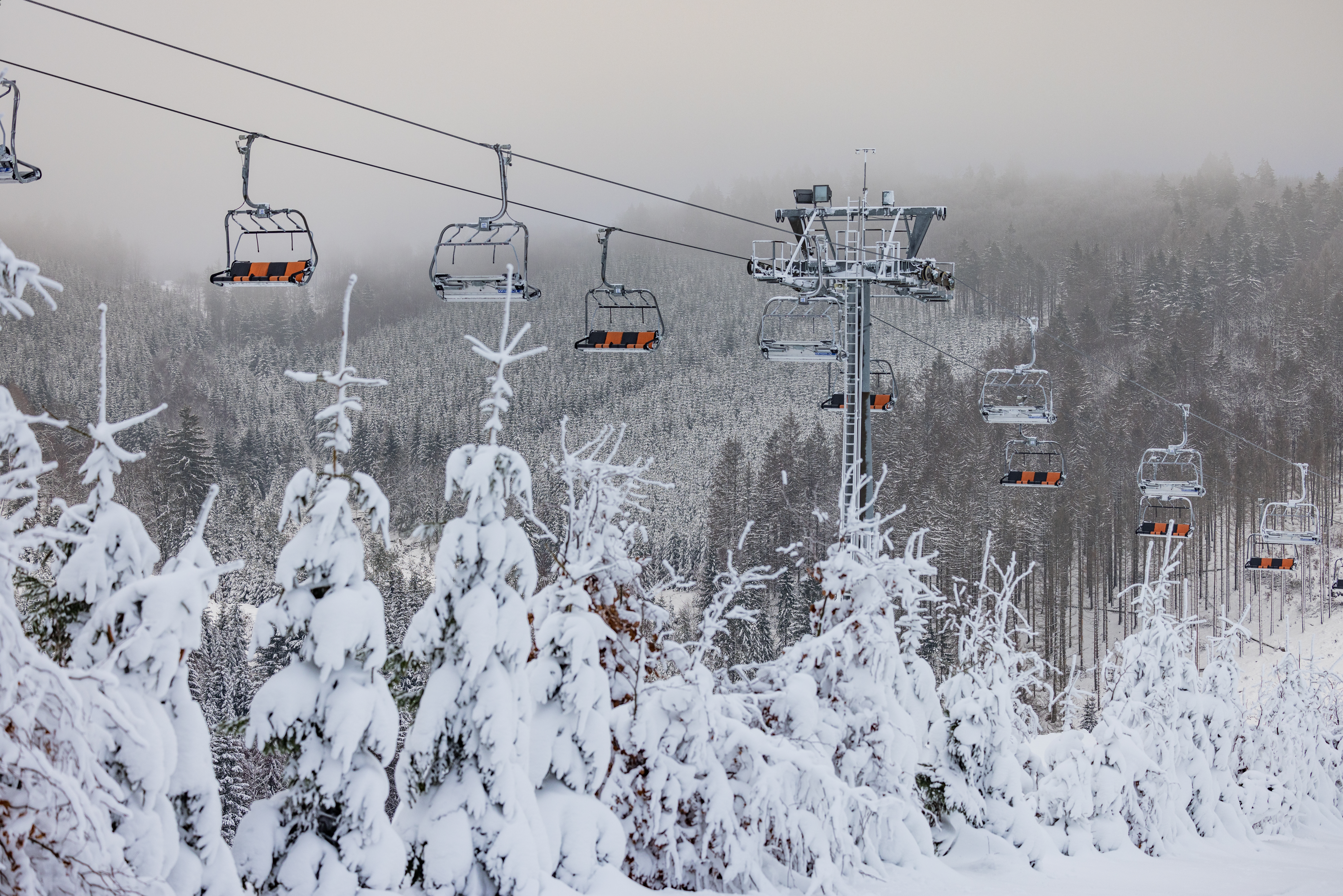 Ein Sessellift über verschneiten Tannen.