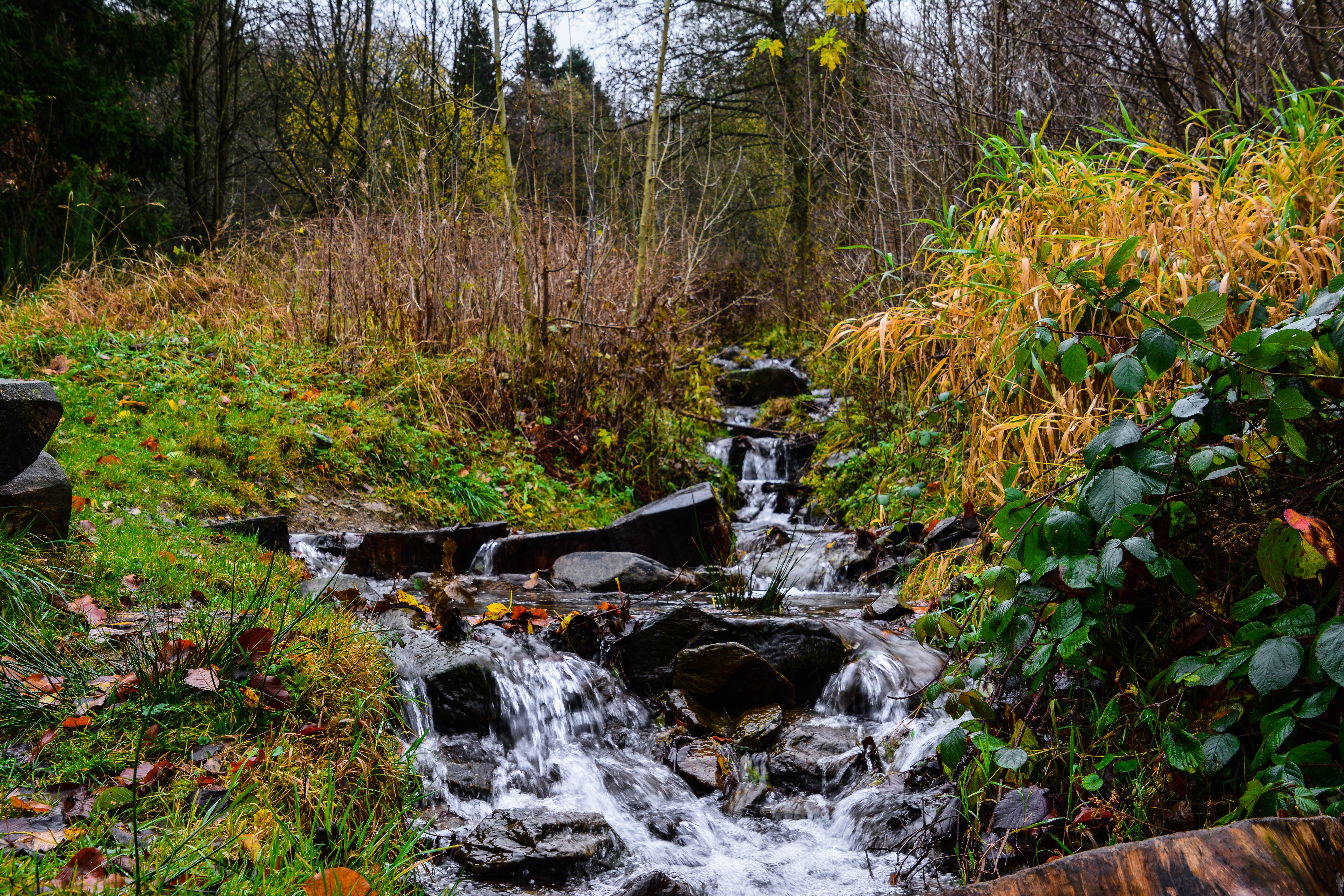 Ein Bachlauf mit Steinen zwischen Sträuchern und Wiese.