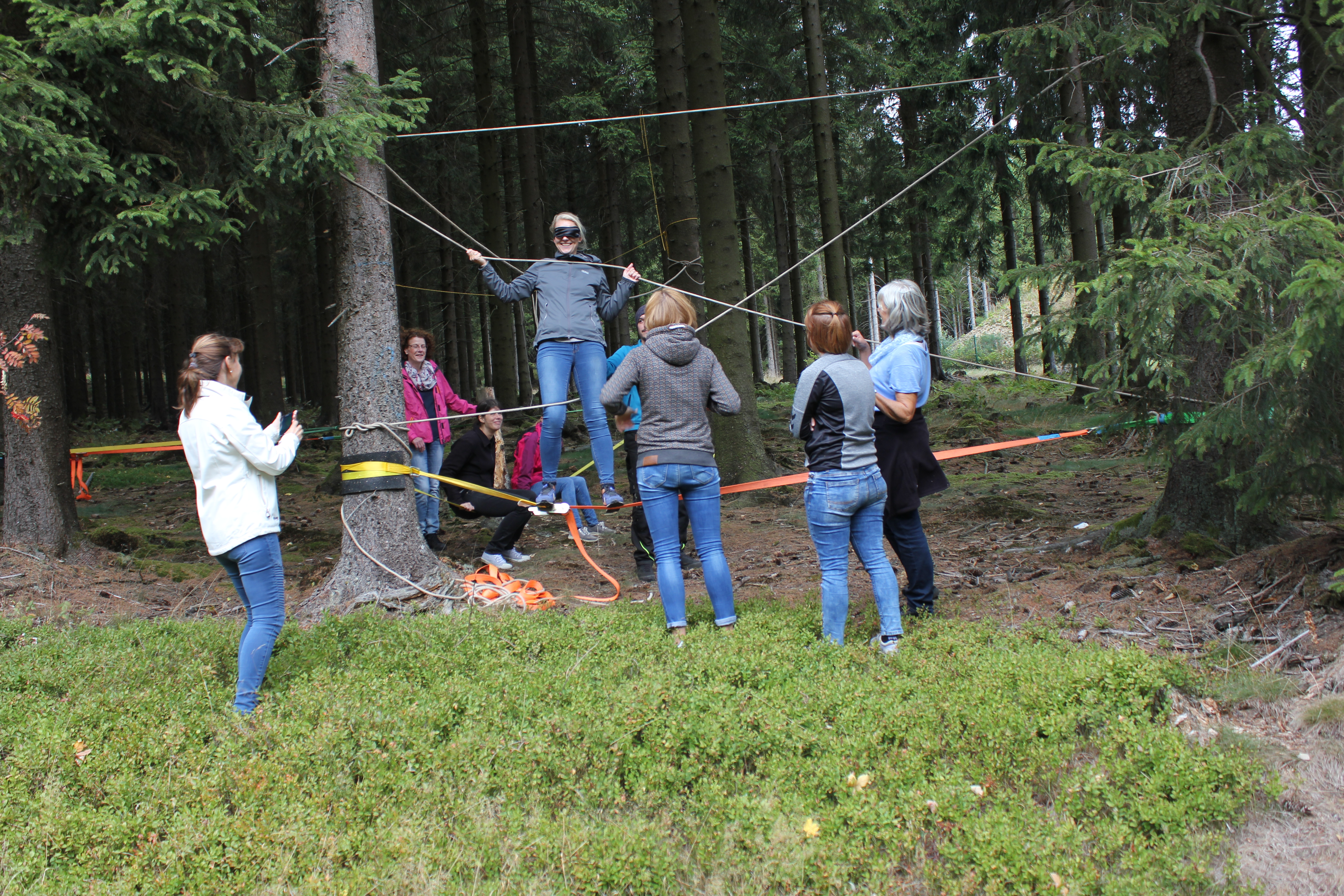 Eine Personengruppe bei einer Teambuilding Maßnahme im Wald.