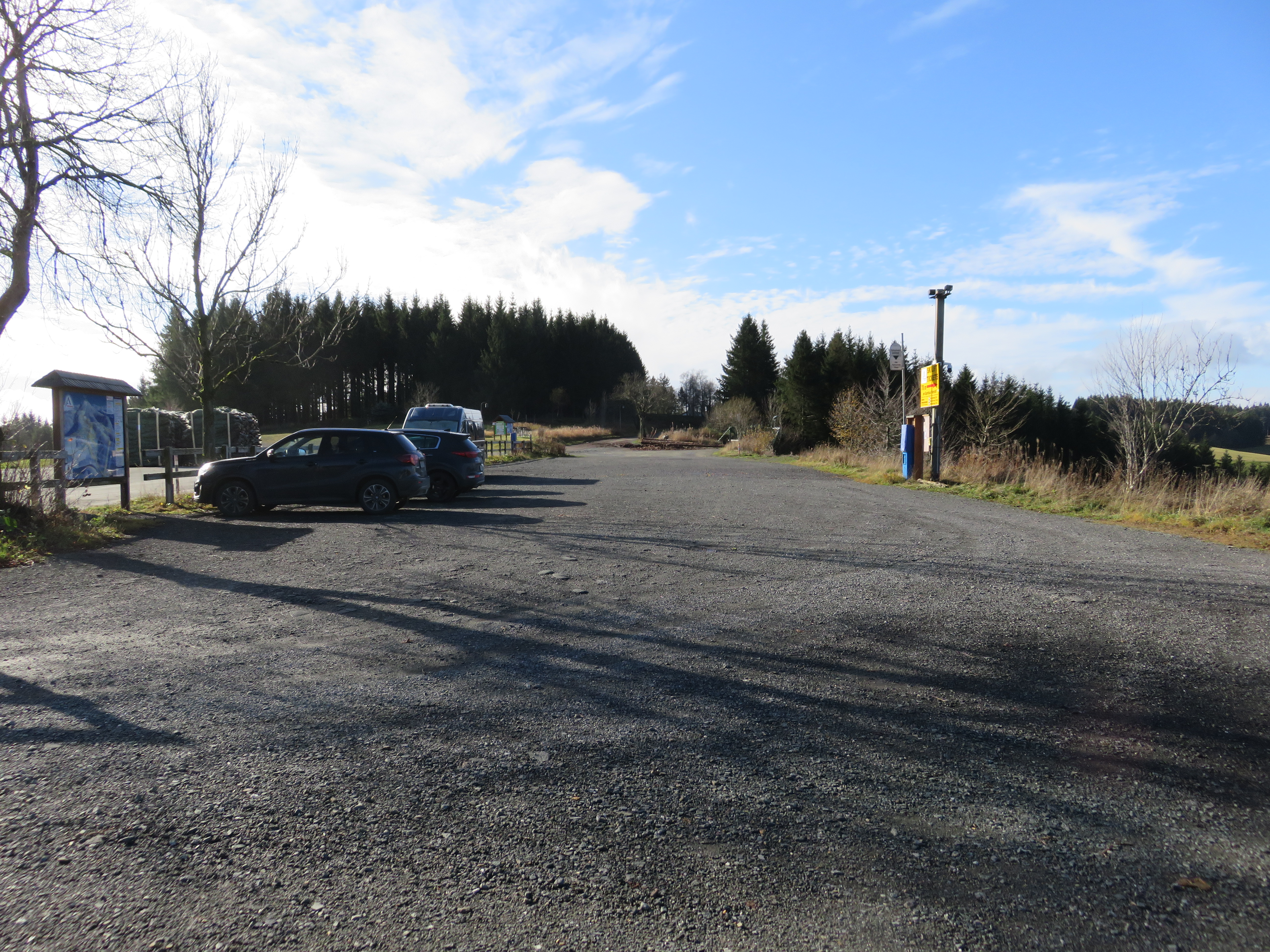 Parkplatz mit parkenden Autos mit einem Waldstück im Hintergrund.