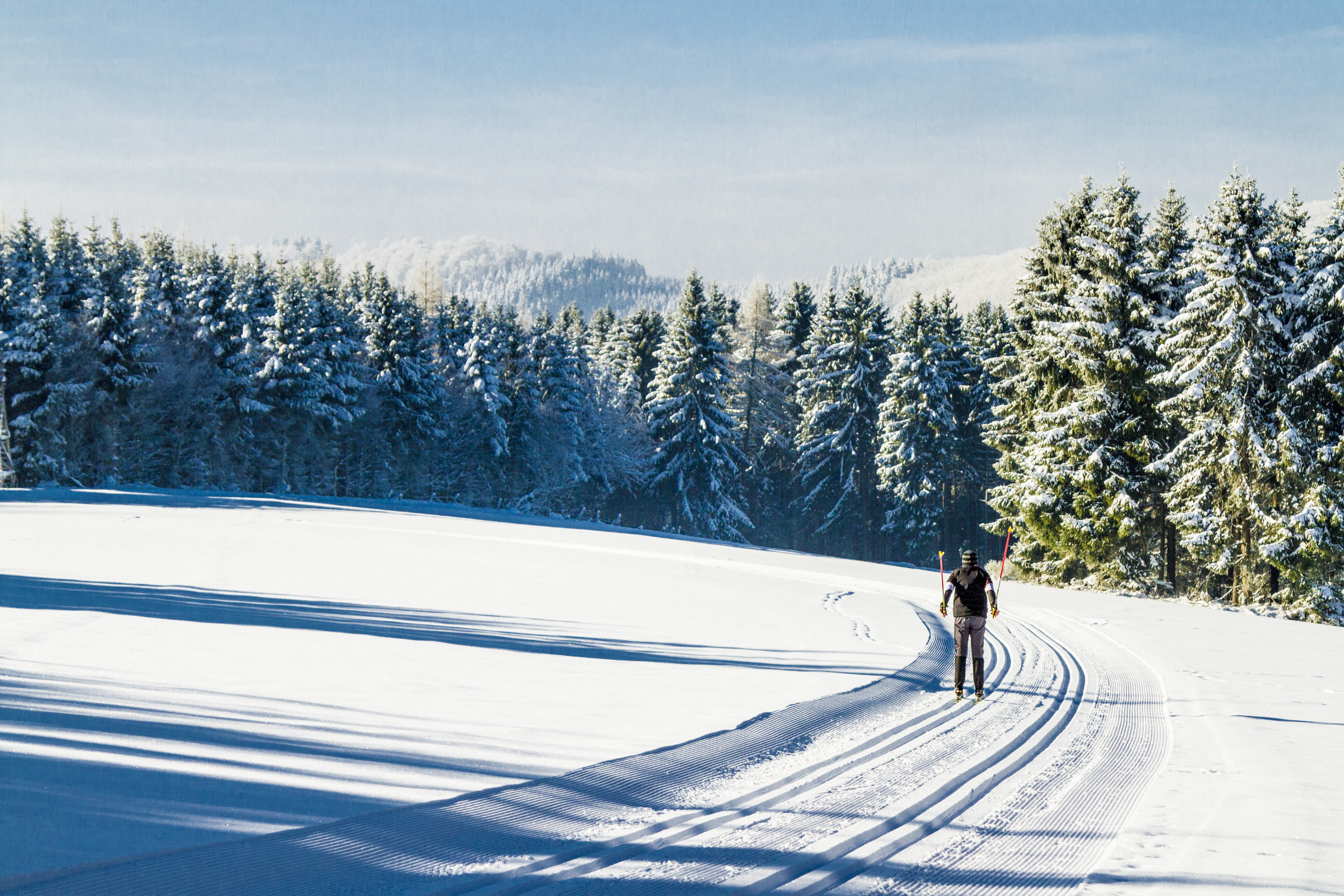Eine Person beim Langlaufen in gespurten Loipen umgeben von Wäldern.