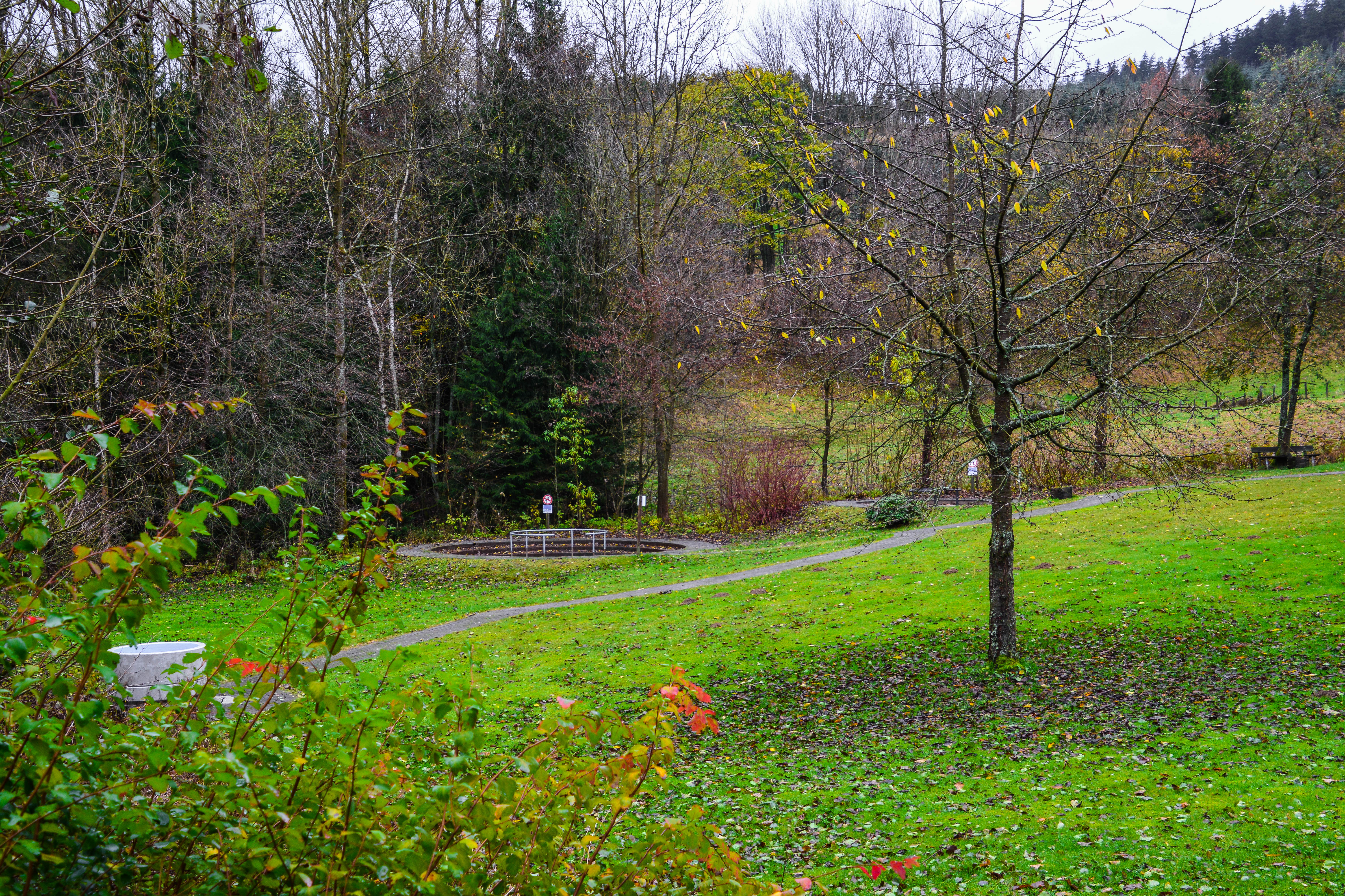 Tretbecken umgeben von Wiesen und Bäumen.