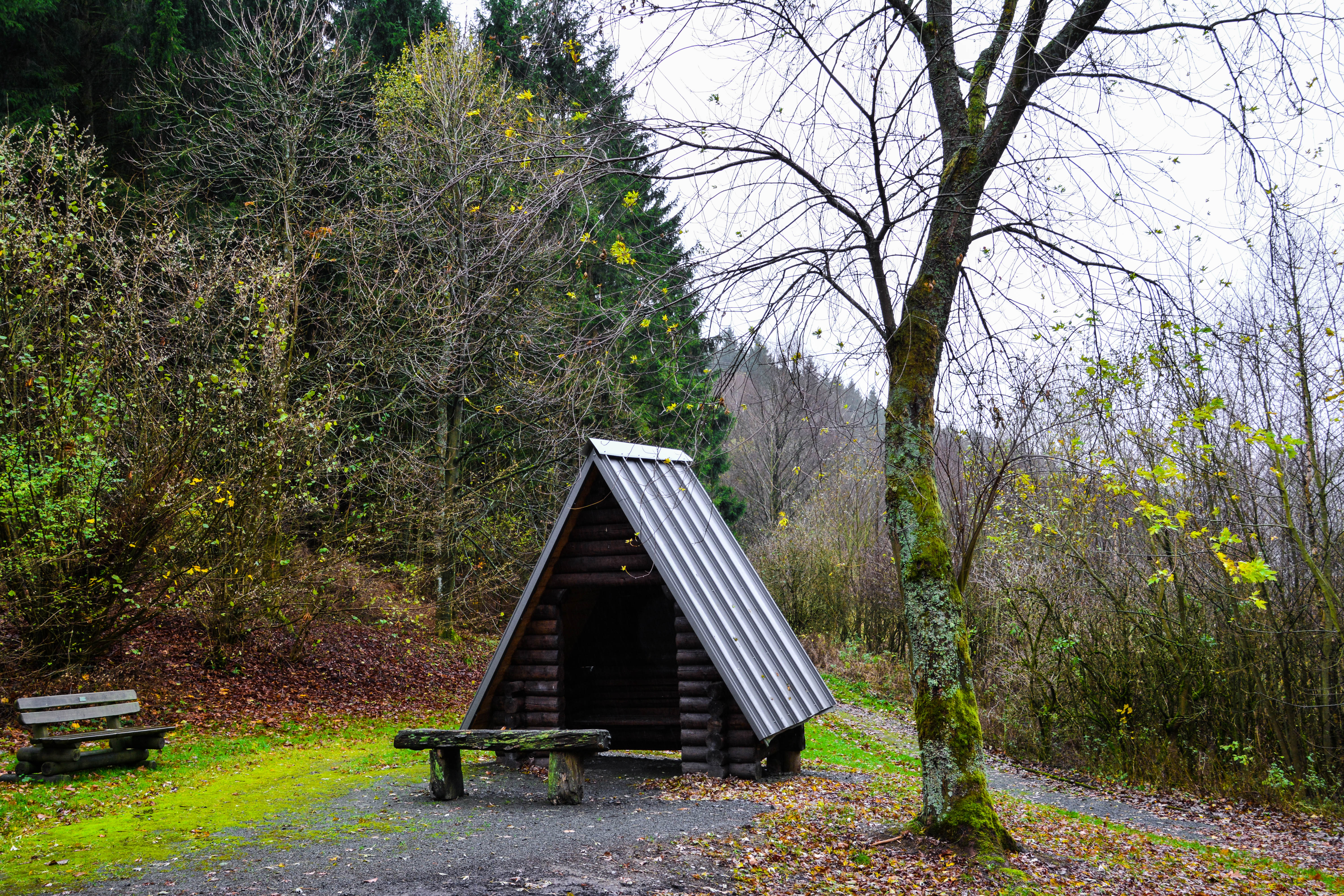 Schutzhütte mit Sitzmöglichkeiten umgeben von Bäumen.