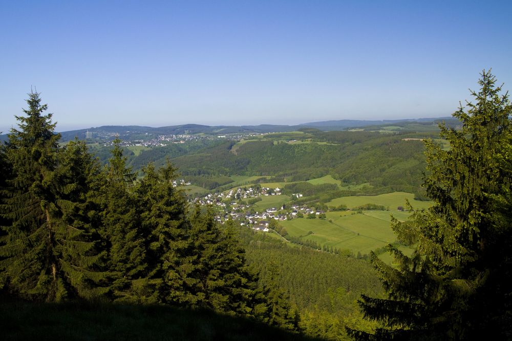 Aussicht durch eine Waldschneise auf eine Ansammlung von Häusern inmitten von grünen Wiesen, Feldern und Bergen und blauem Himmel.