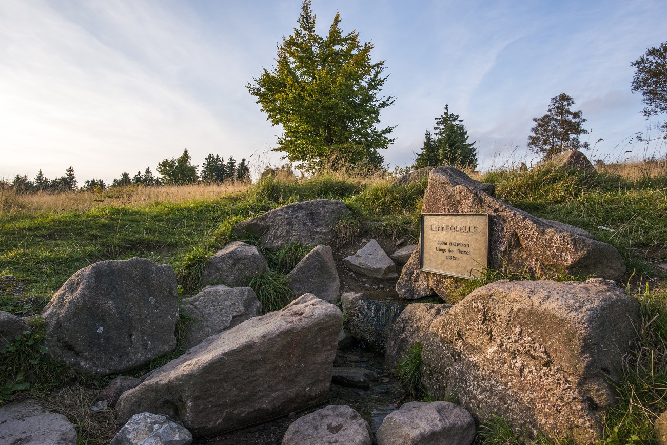 Mehrere Gesteine durch die Wasser fließt mit einem Schild mit der Aufschrift Lennequelle. Mehrere Gesteine durch die Wasser fließt mit einem Schild mit der Aufschrift Lennequelle.