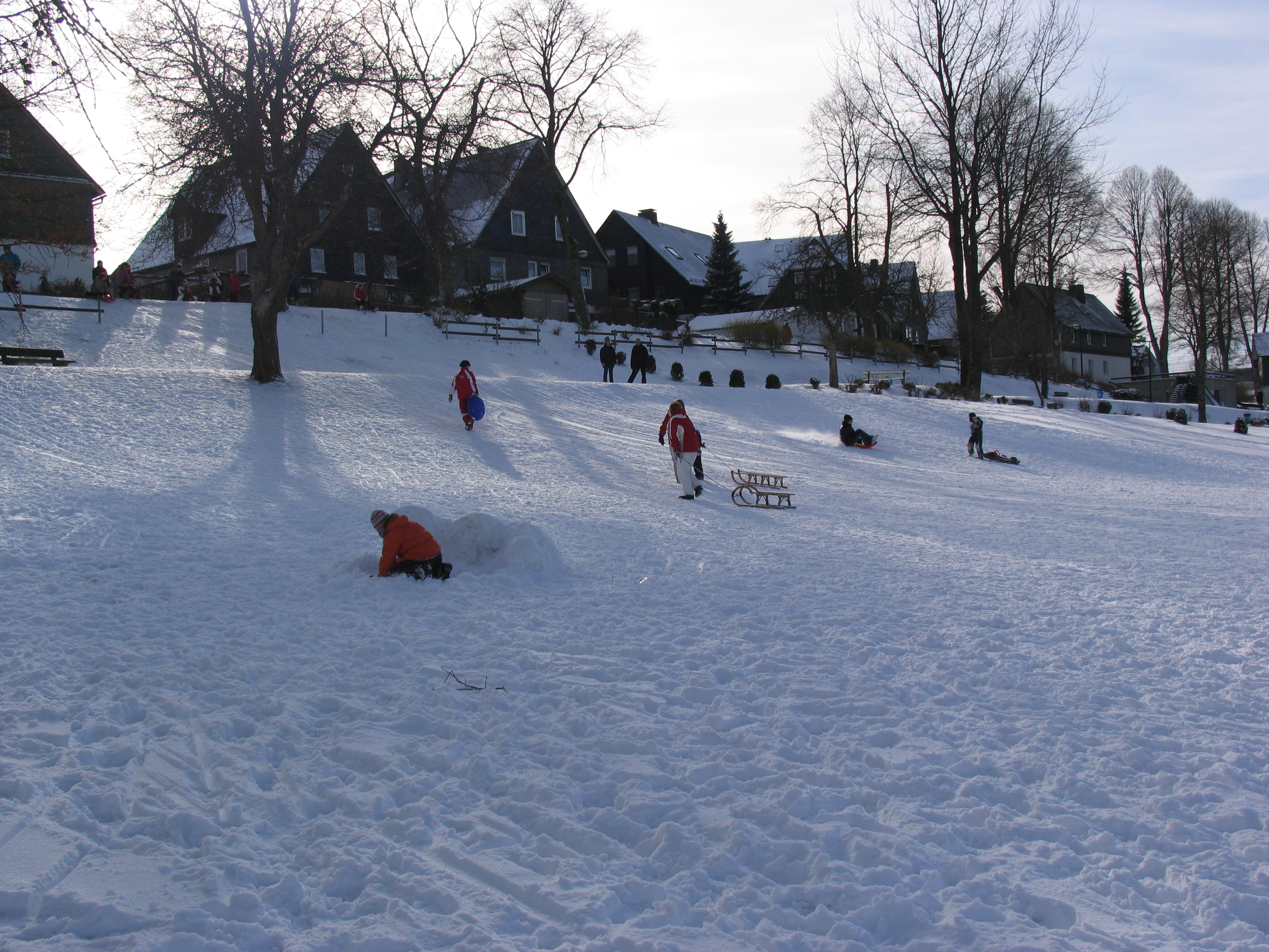 Kinder beim Rodeln auf einem schneebedeckten Hang im Kurpark.