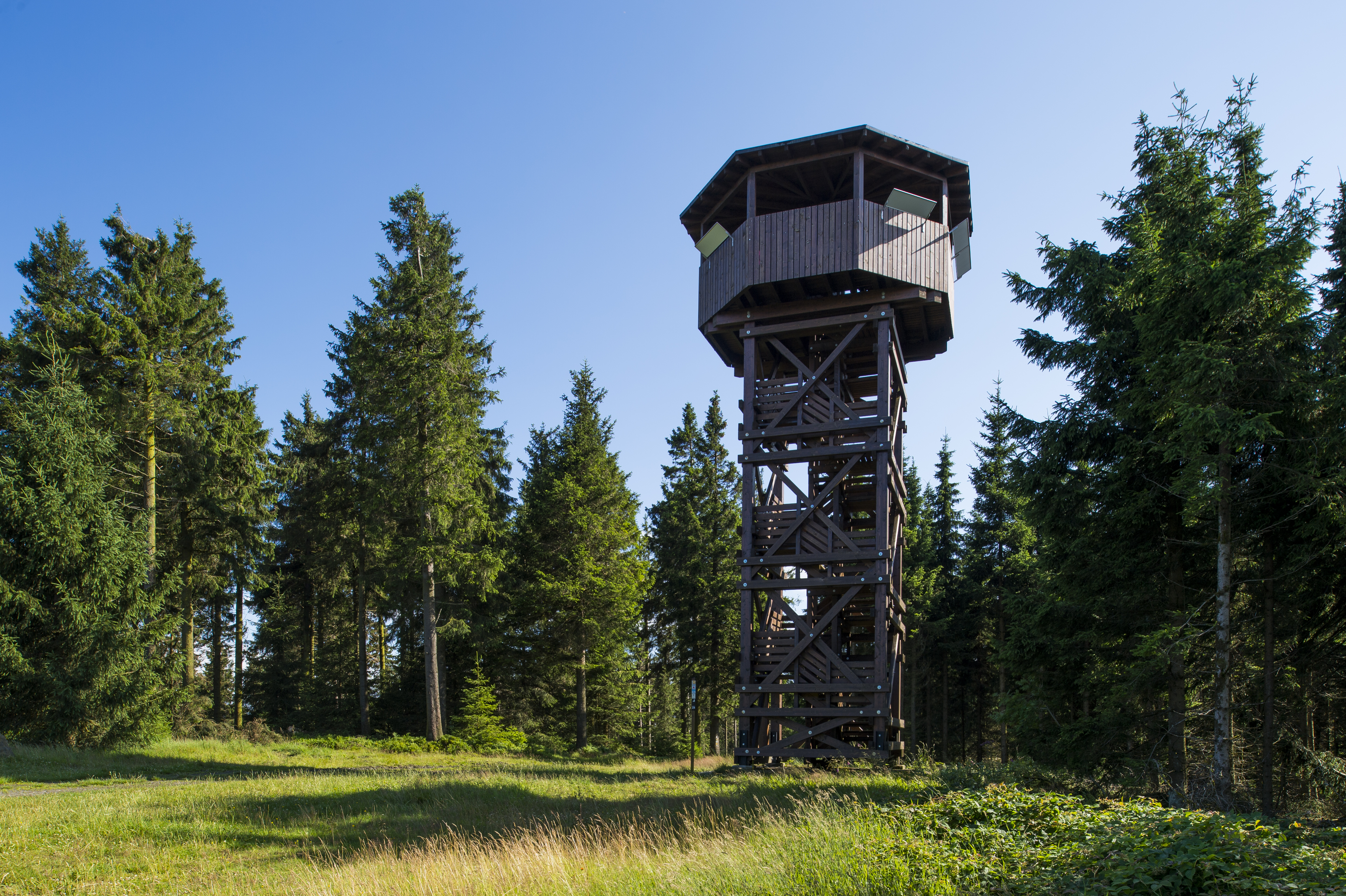 Ein Holzturm mit Dach inmitten von Tannen und einer Wiese.