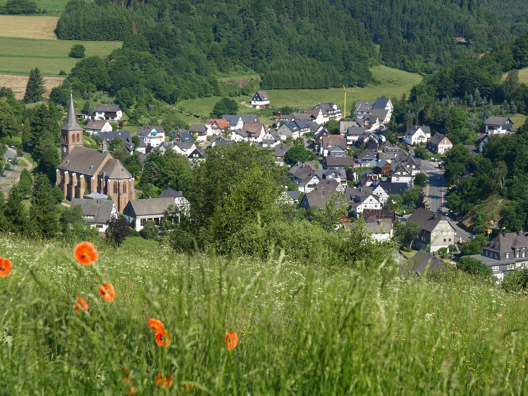 Eine Wiese mit Mohnblumen und einem Teil des Dorfes Züschen im Hintergrund.