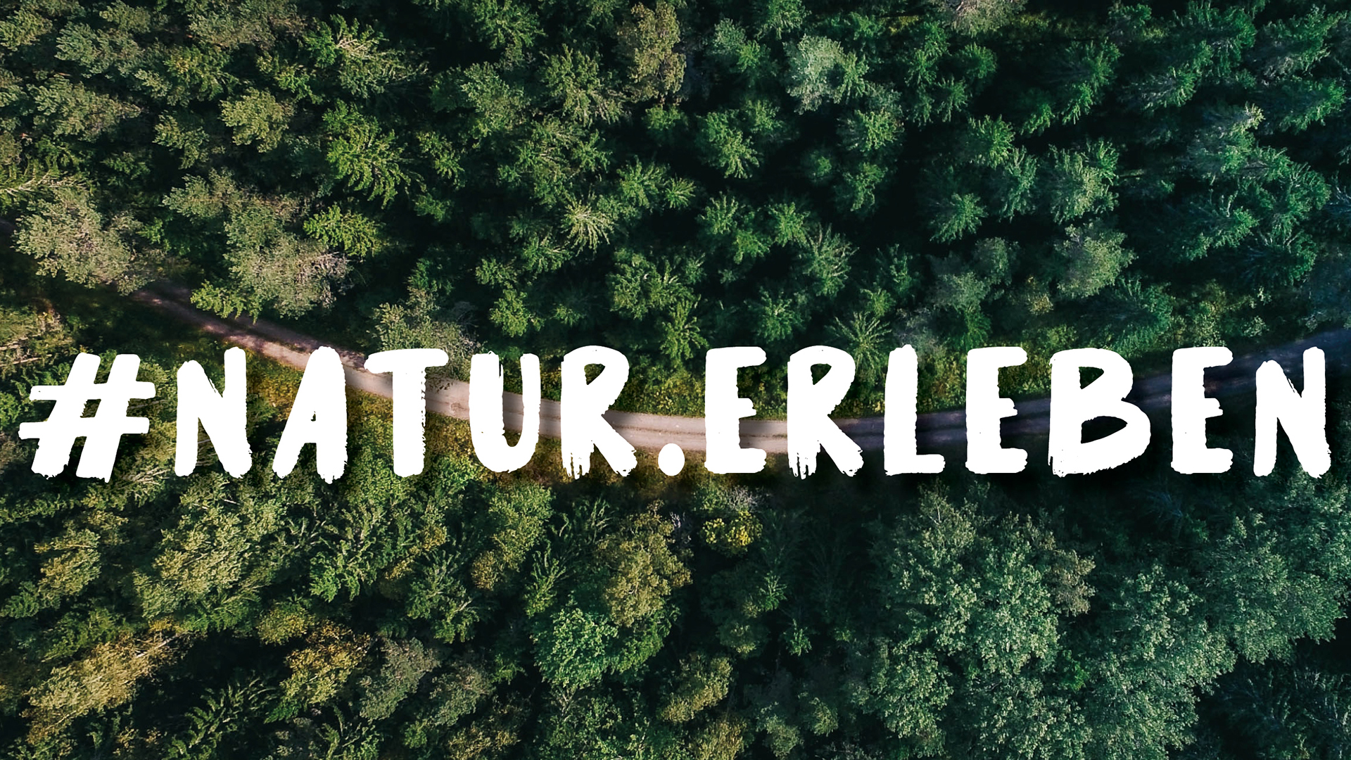 Ein Wald mit vielen Bäumen von oben mit der Aufschrift #Natur.Erleben