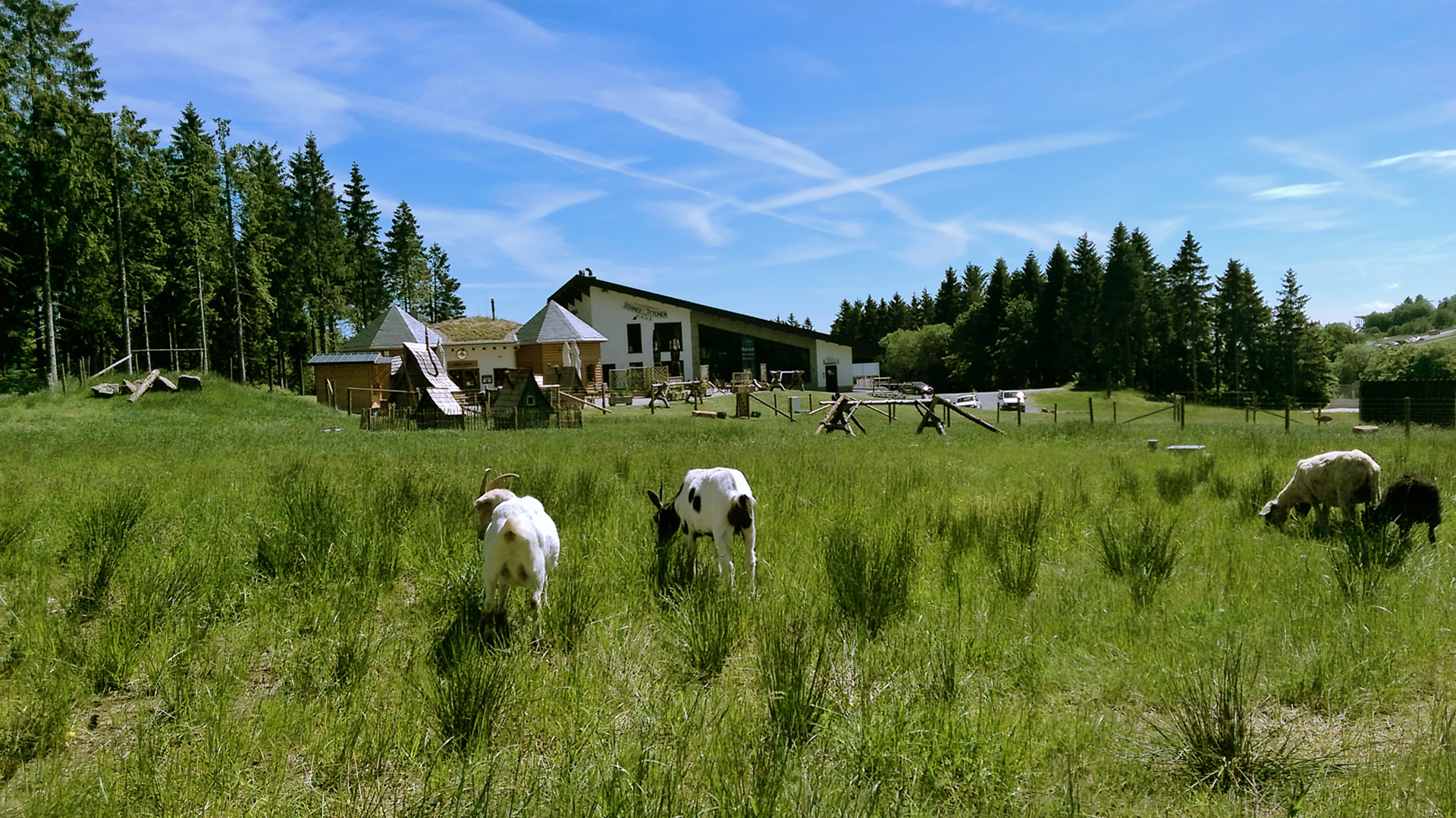 Außenasicht des Gebäudes Schneewittchenhaus mit auf einer Wiese grasenden Ziegen im Vordergrund. Außenasicht des Gebäudes Schneewittchenhaus mit auf einer Wiese grasenden Ziegen im Vordergrund.