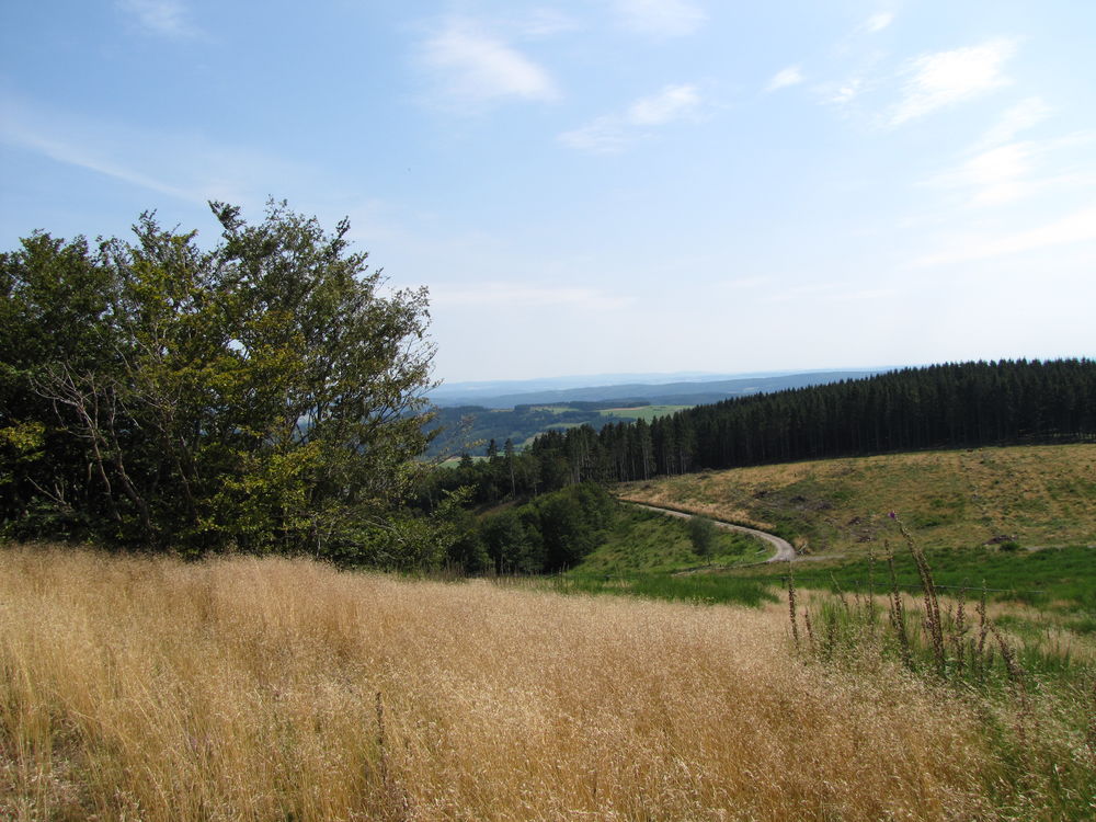 Weitblick über Wiesen, Felder und Wälder.