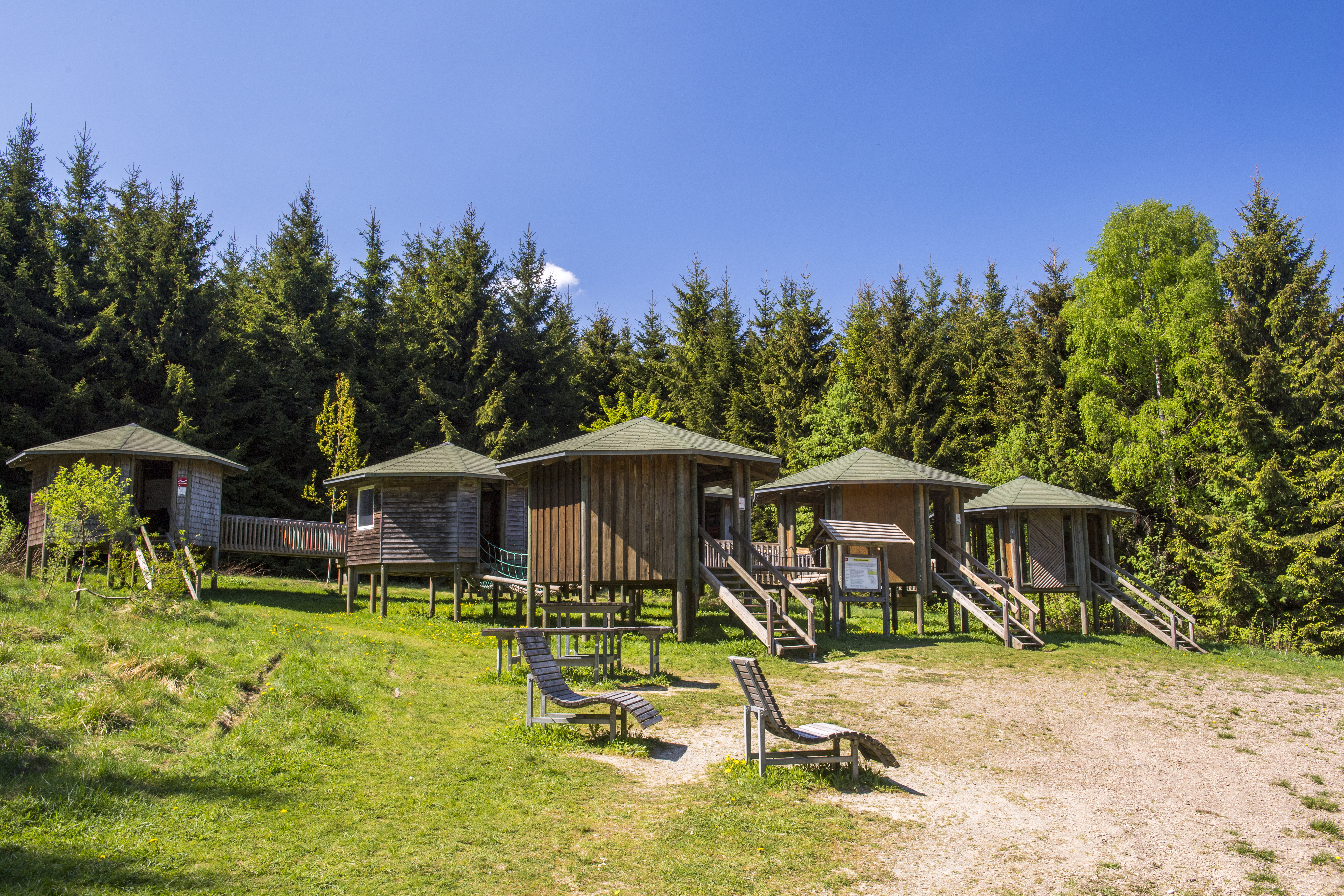 Einige runde Holzhütten mit Treppen davor umgeben von Wäldern.