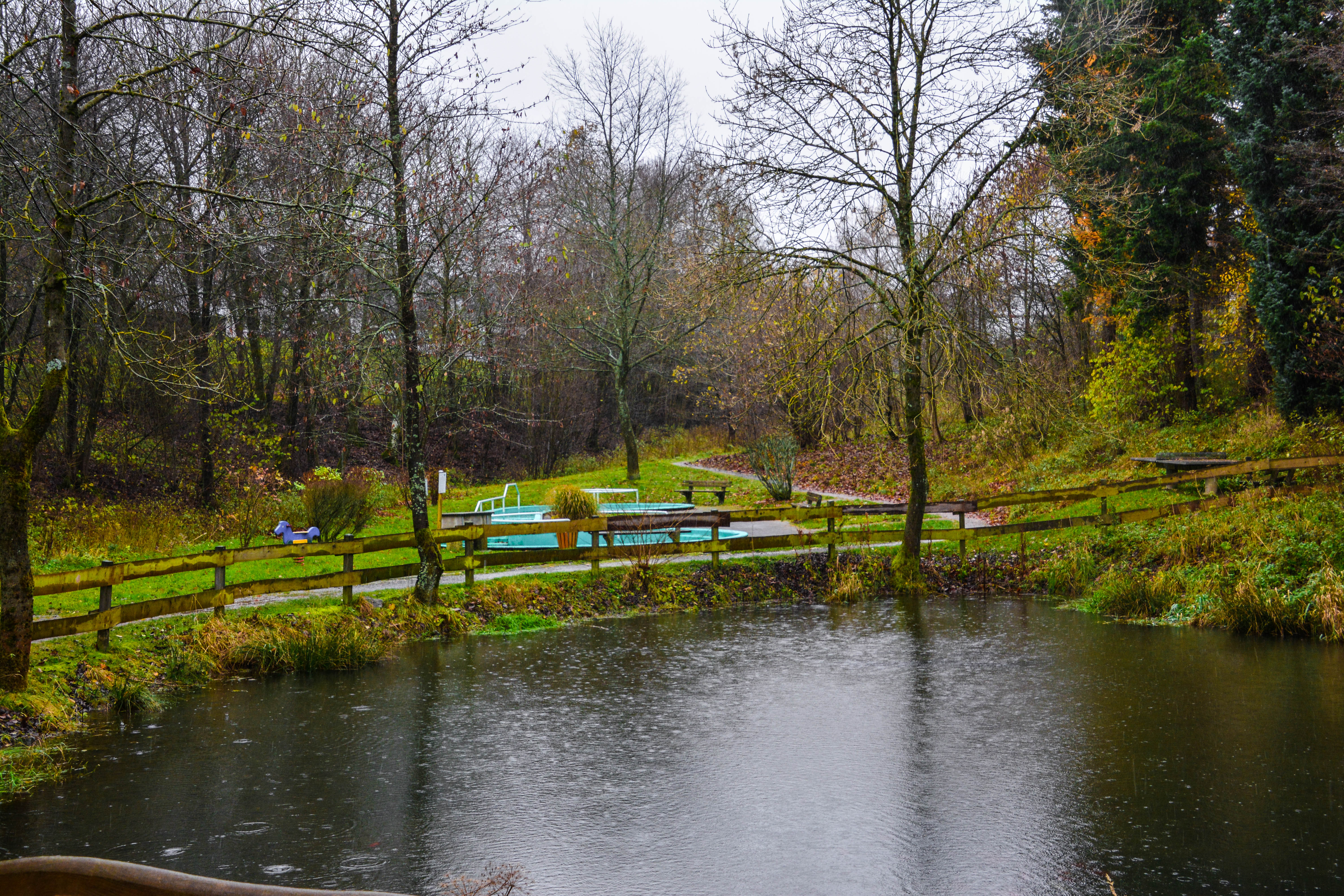 ferienwelt-winterberg_2017_-tretbecken-winterberg-im-hohlen-seifen_herbst