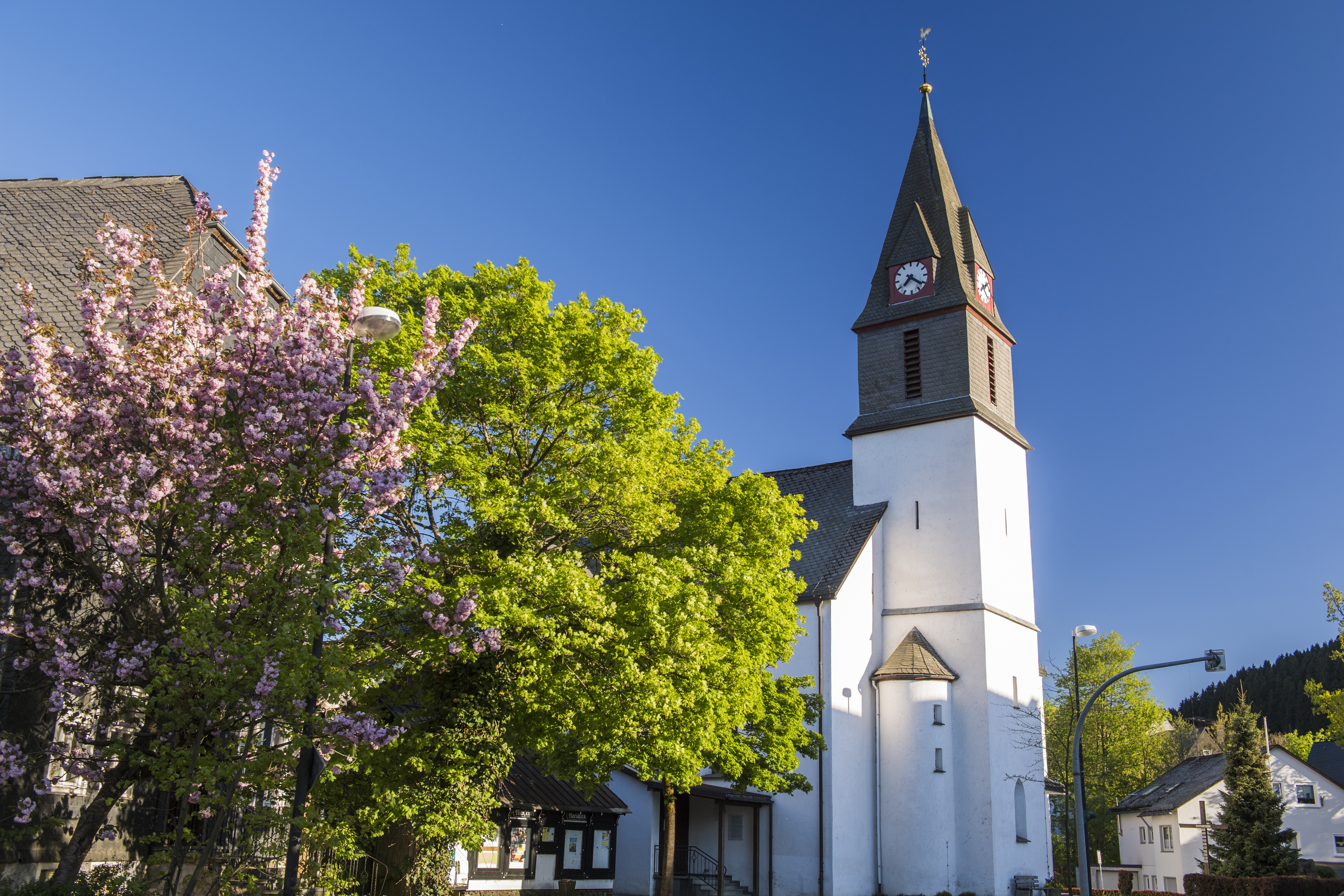 Eine Kirche umgeben von blühenden Bäumen.