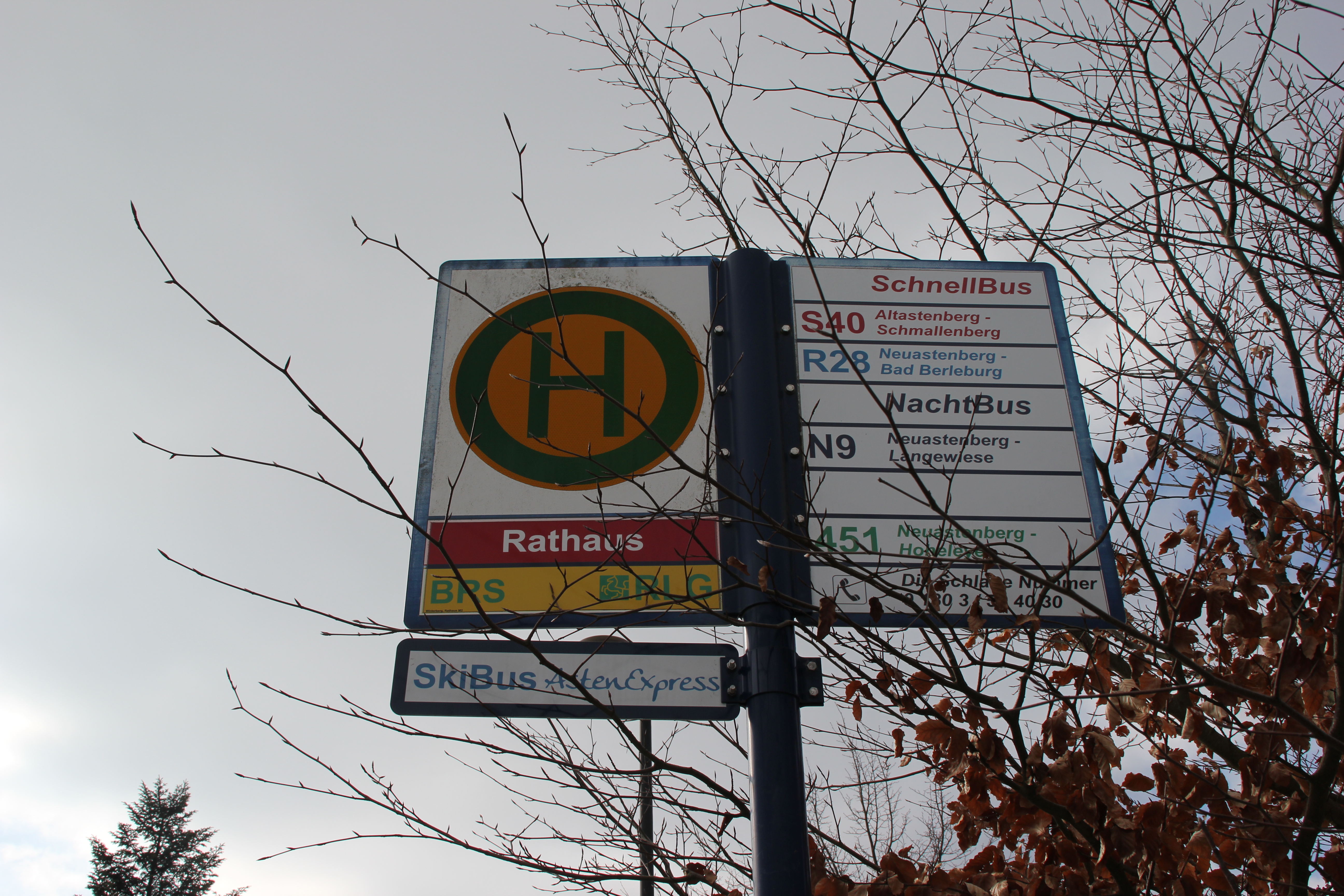 Ein Bushaltestellenschild mit der Aufschrift Rathaus.