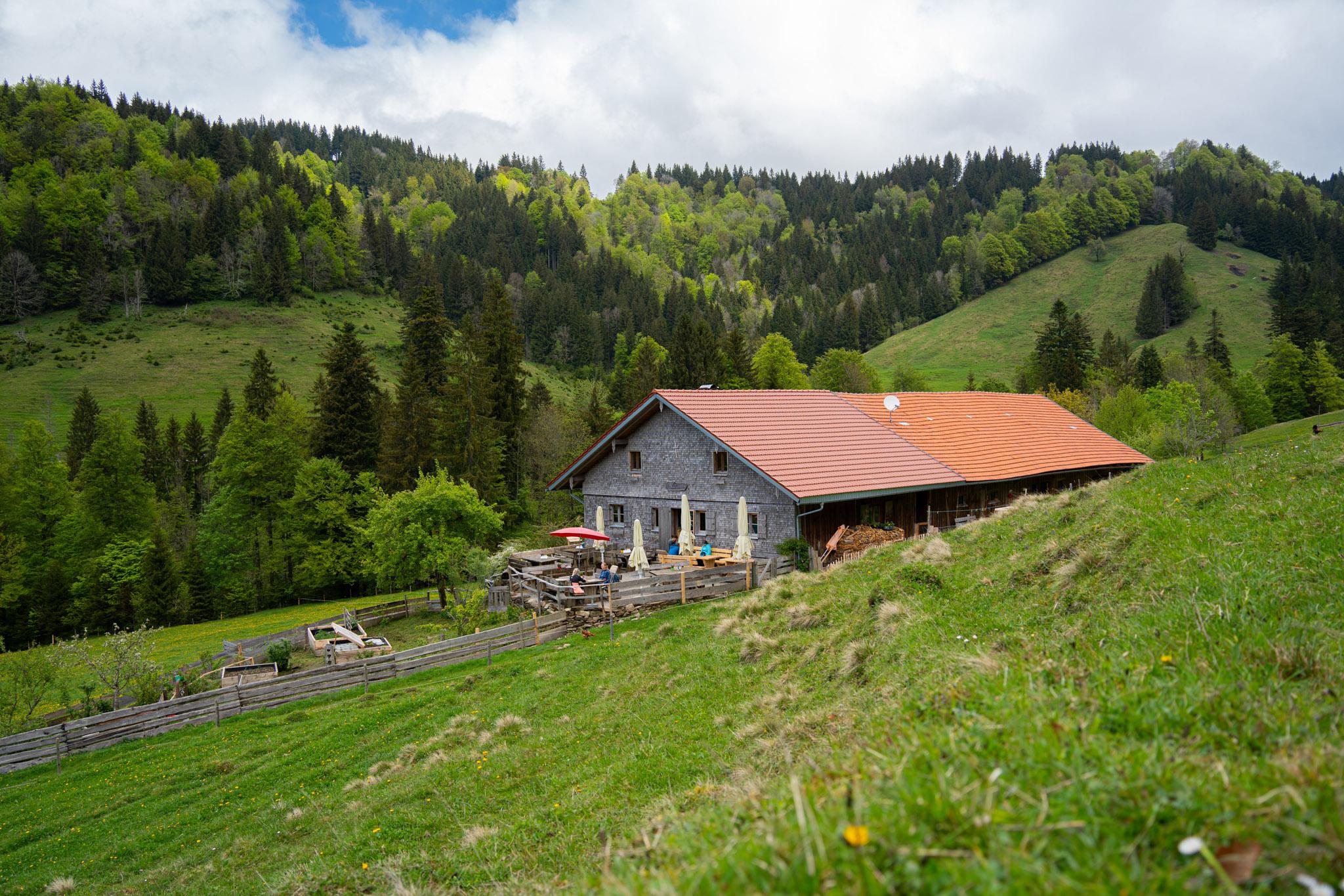 Alpe Sonnhalde am Hündle in Oberstaufen