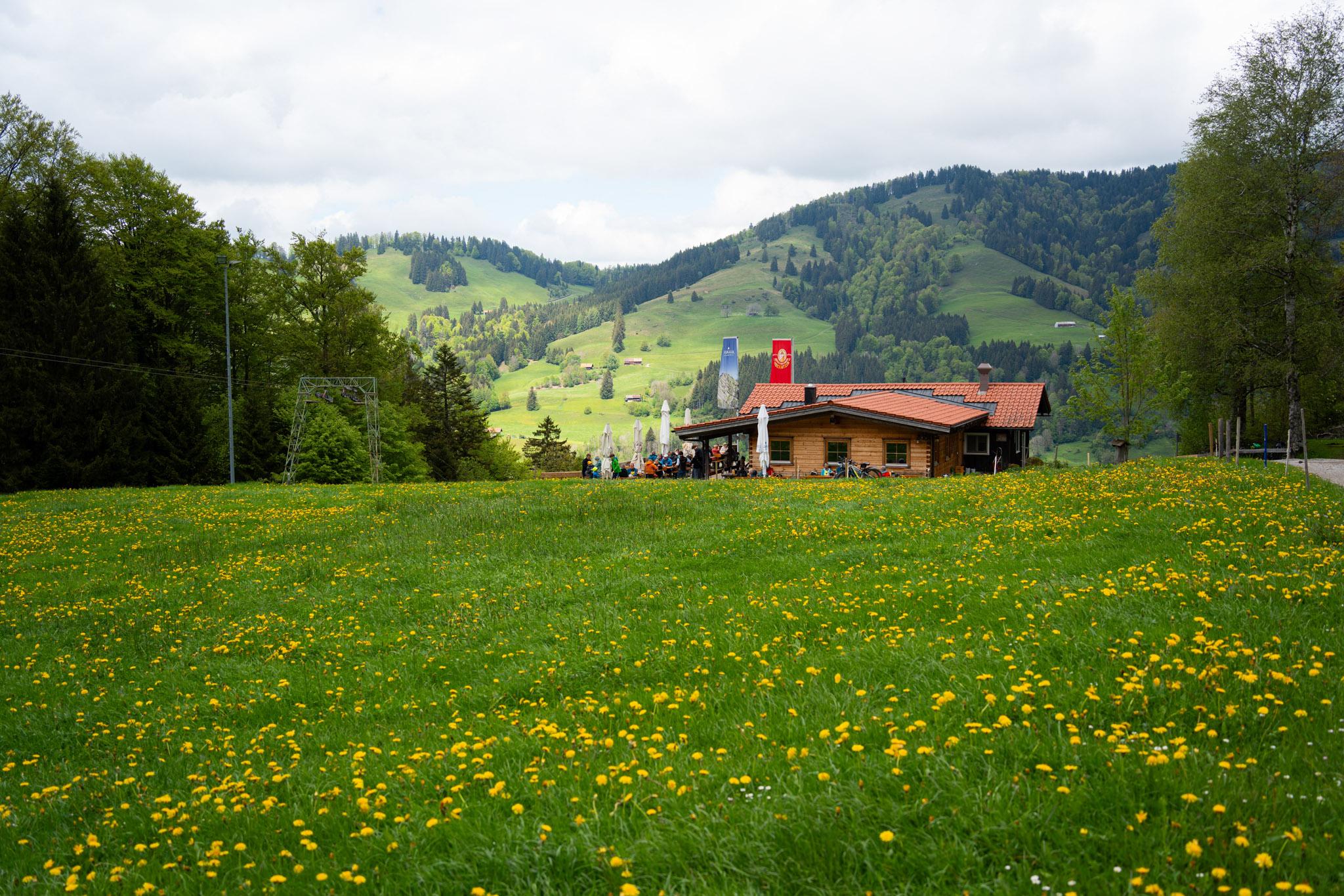 Alpe Schwändle im Wandergebiet in Thalkirchdorf