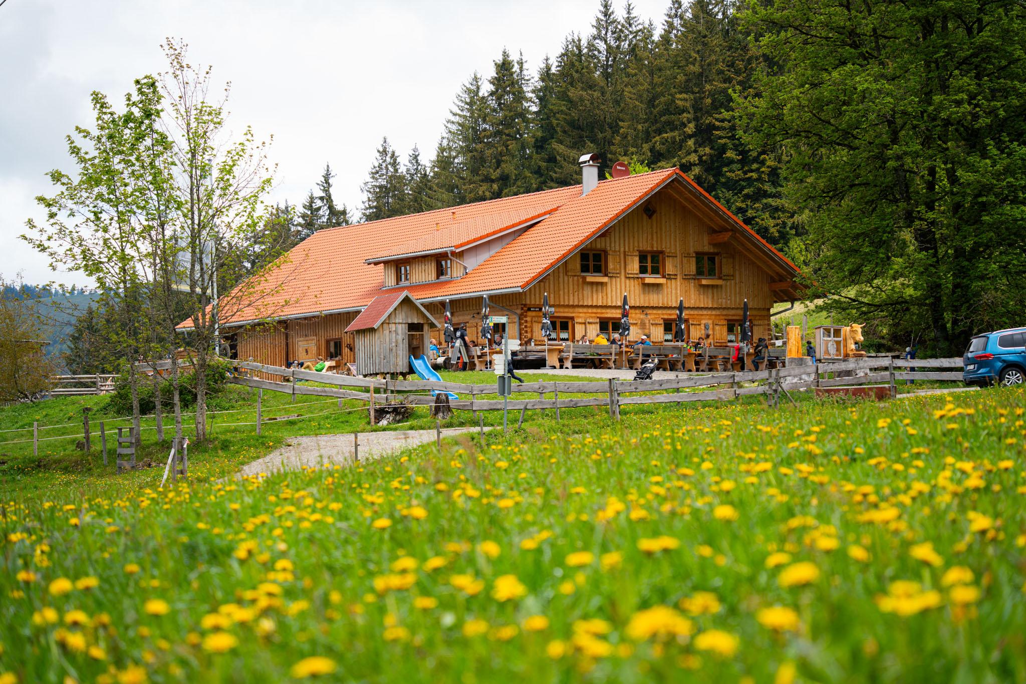 Moosalpe in Thalkirchdorf