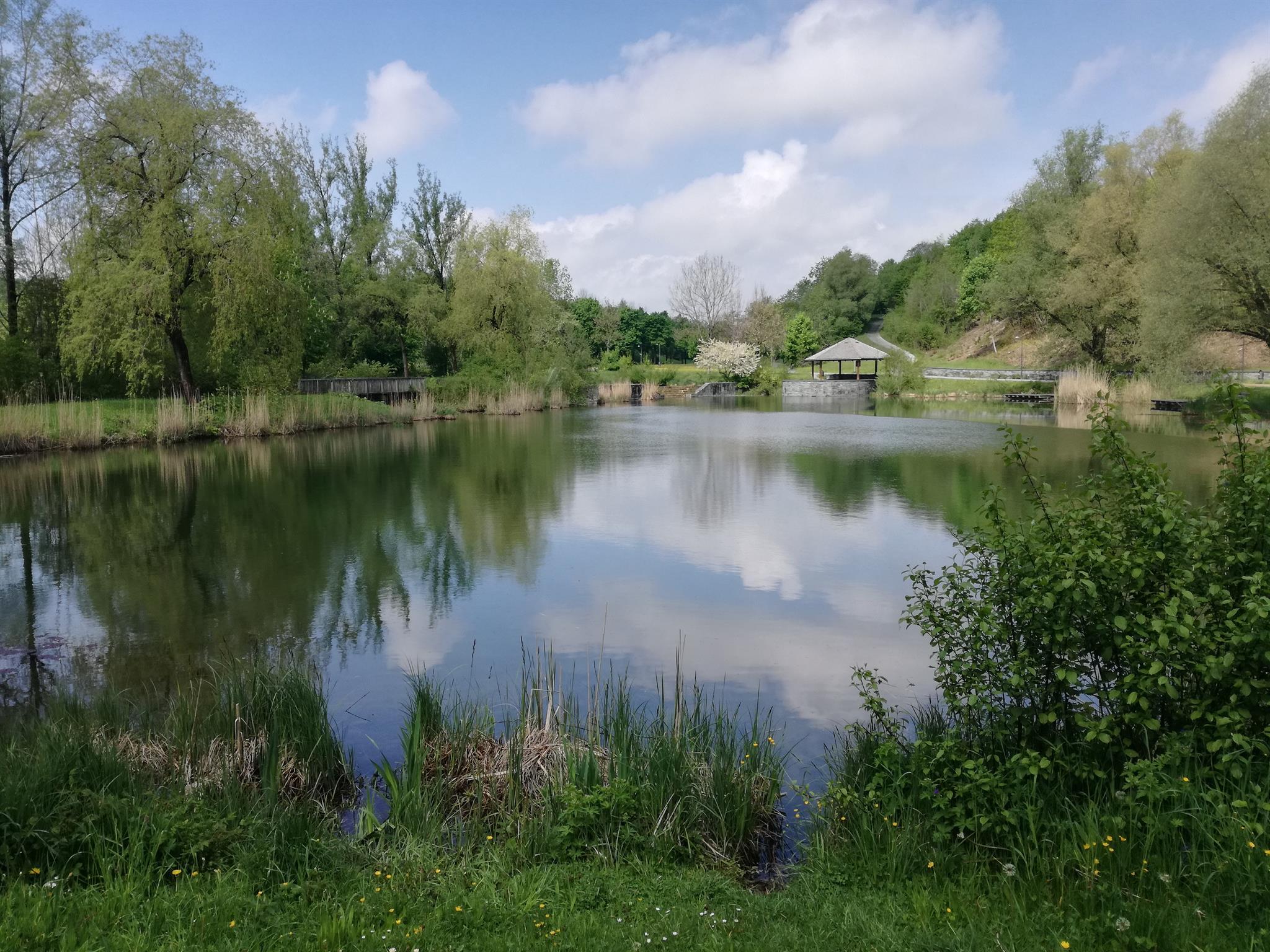 Engelhaldepark weiher Engelhaldepark weiher
