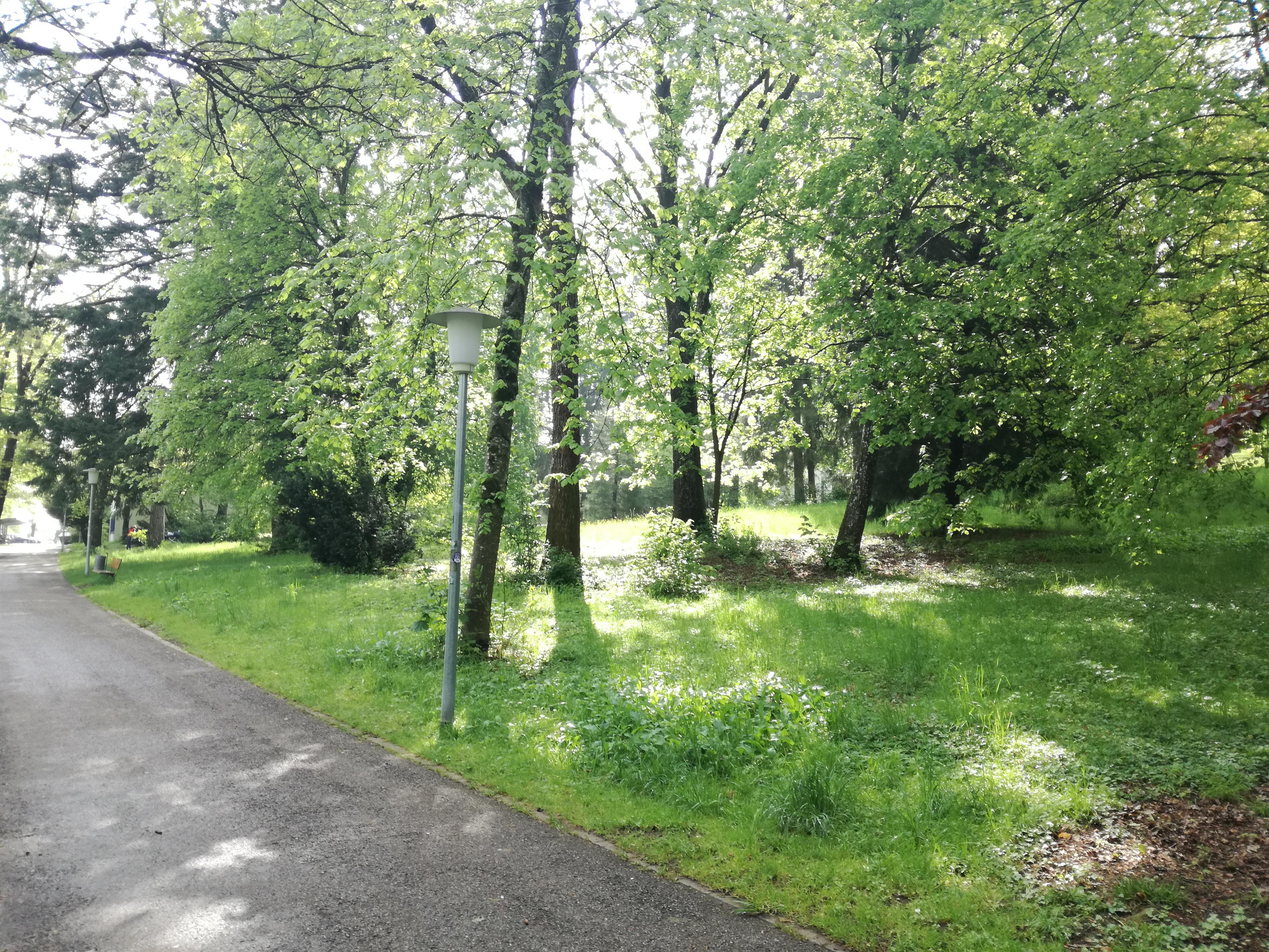 Park Park