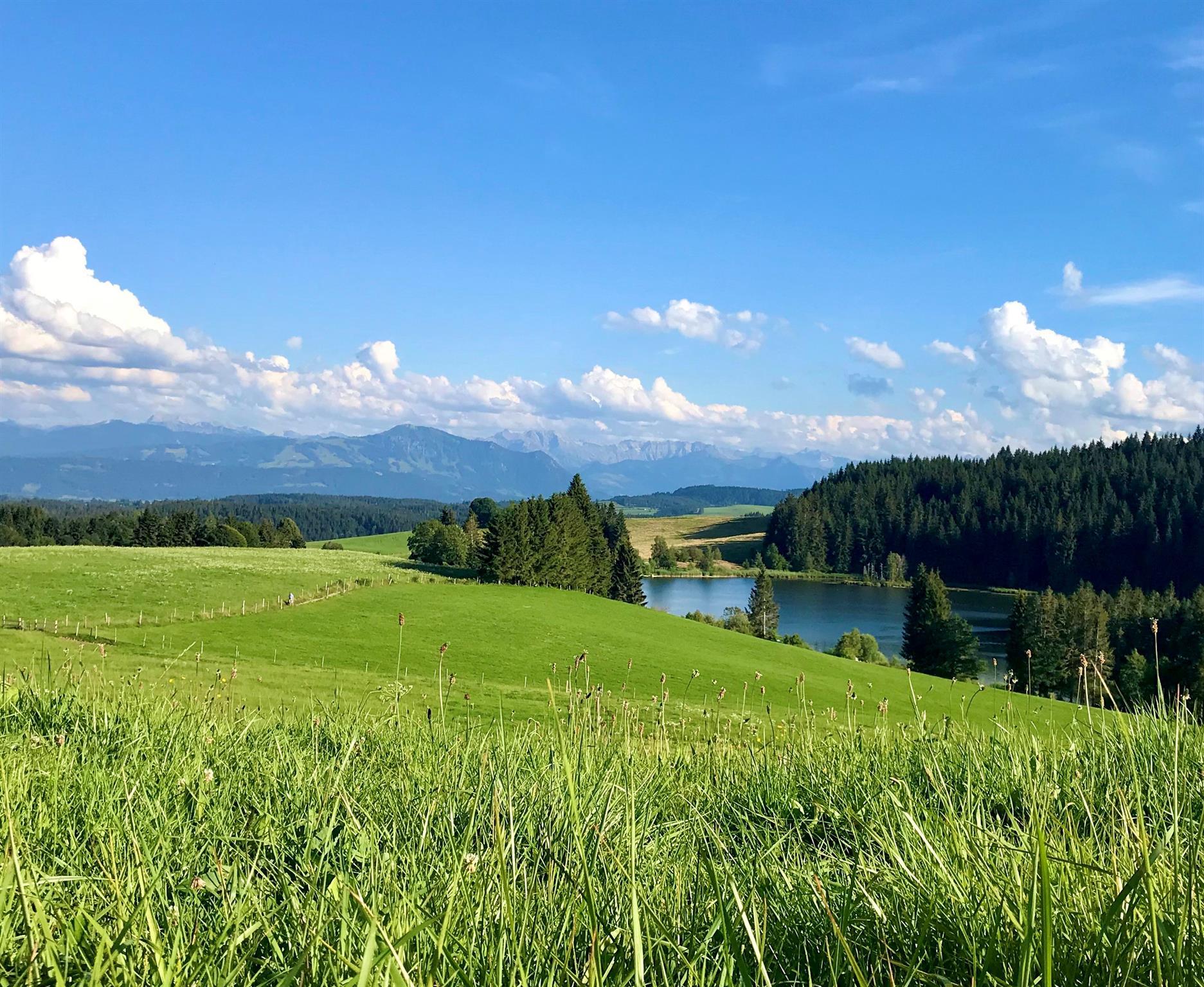 Eschacher Weiher Eschacher Weiher