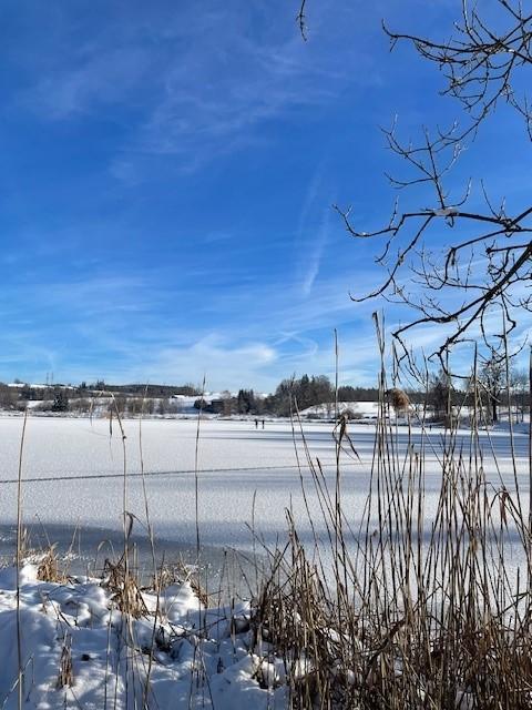 bachtelweiher winter
